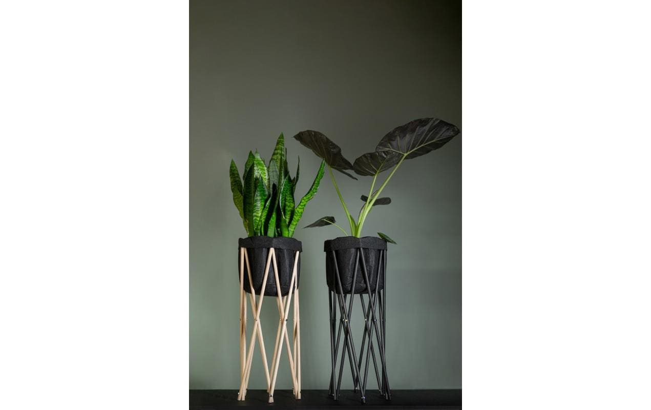 Neogard ag Neogard Pflanzenstativ – Ø 23 × 70 cm – Buche, natur