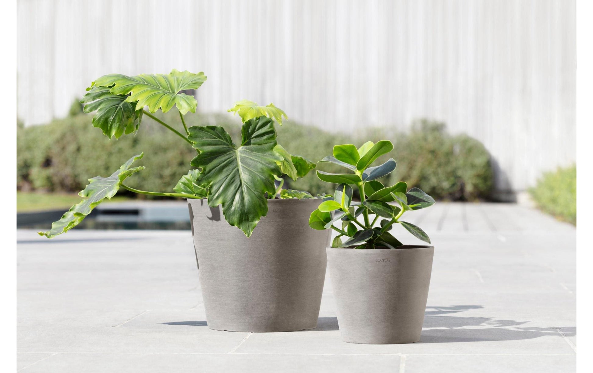 Ecopots Pflanzentopf – Ø 30 × 26,3 cm – Kunststoff, Taupe