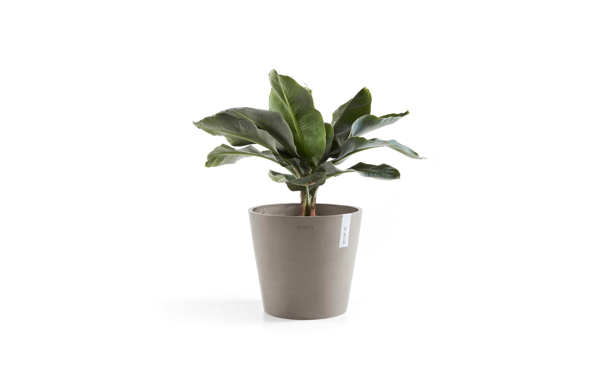 Ecopots Pflanzentopf – Ø 30 × 26,3 cm – Kunststoff, Taupe