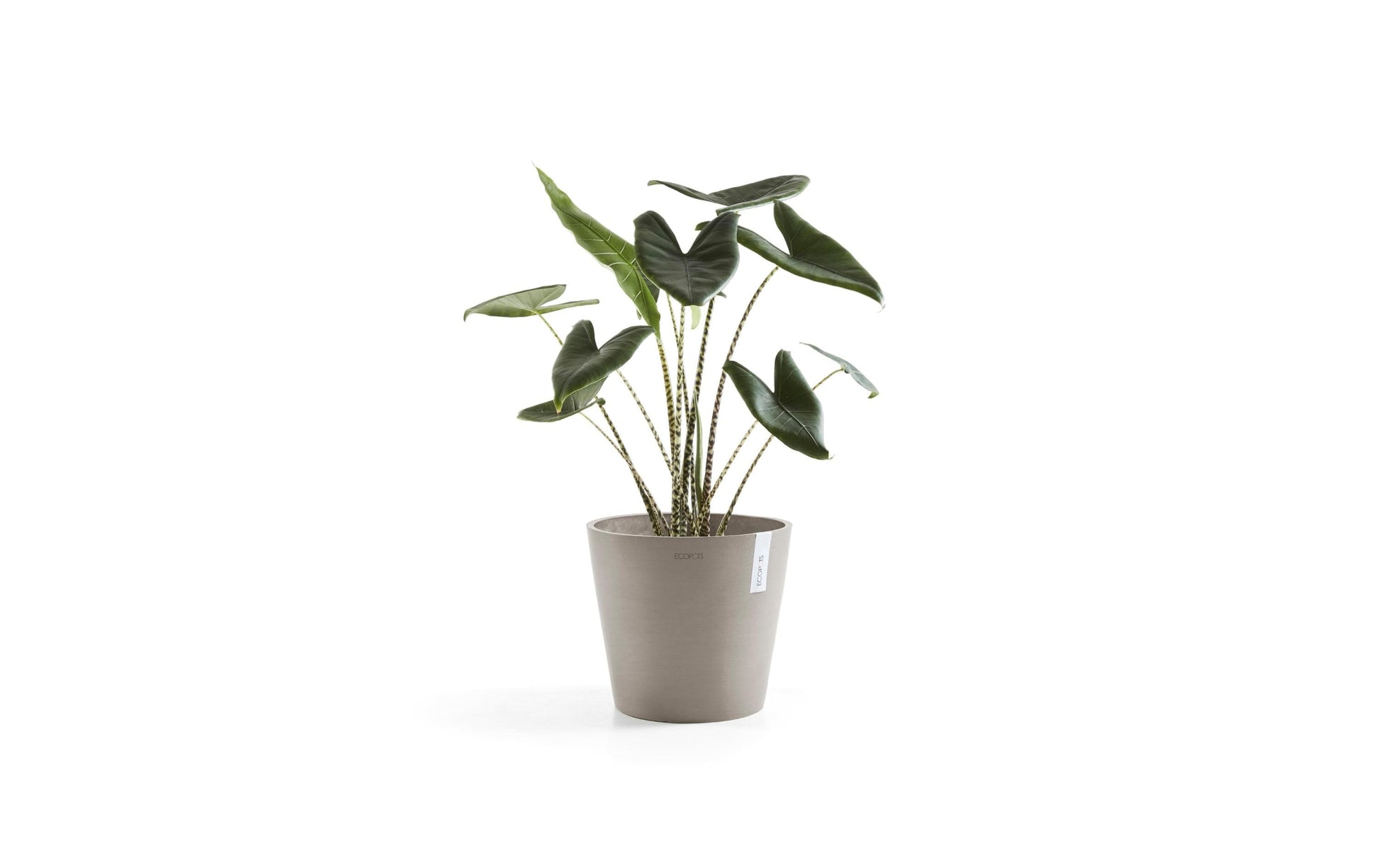 Ecopots Pflanzentopf – Ø 40 × 35 cm – Recycling-Kunststoff, Taupe