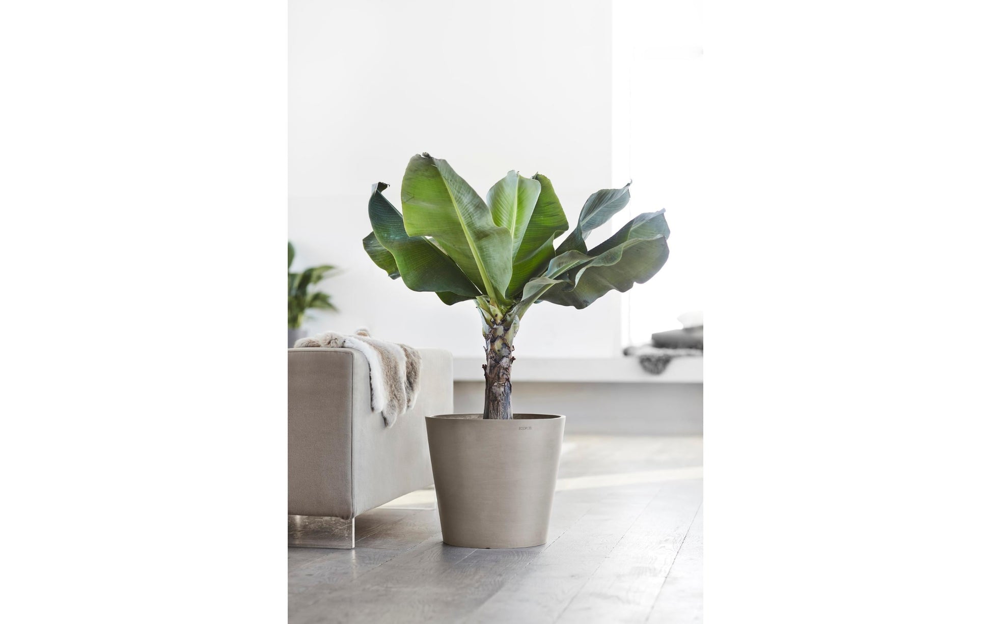 Ecopots Pflanzentopf – Ø 40 × 35 cm – Recycling-Kunststoff, Taupe
