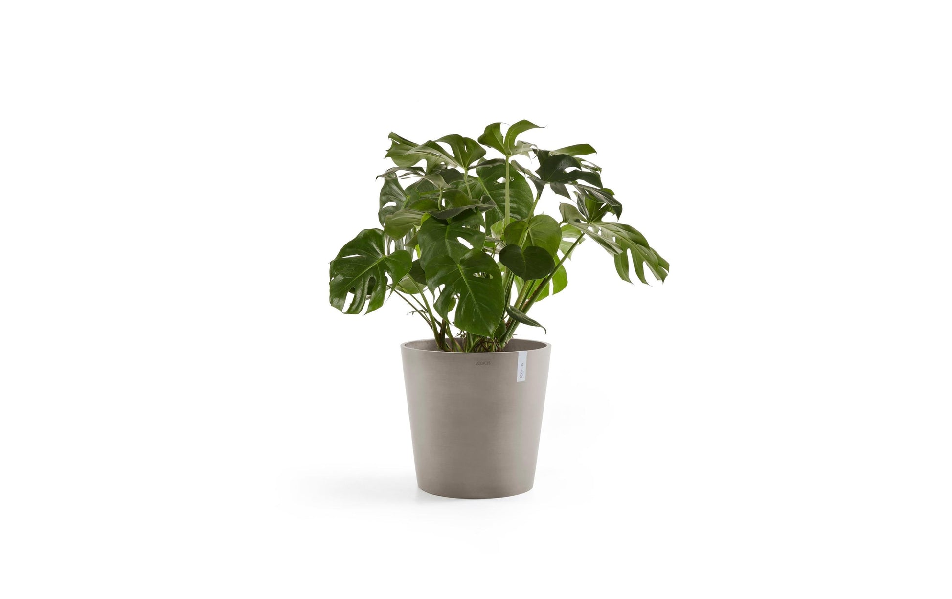 Ecopots Amsterdam Pflanzentopf – Ø 50 × 43,8 cm – Recycling-Kunststoff, Taupe