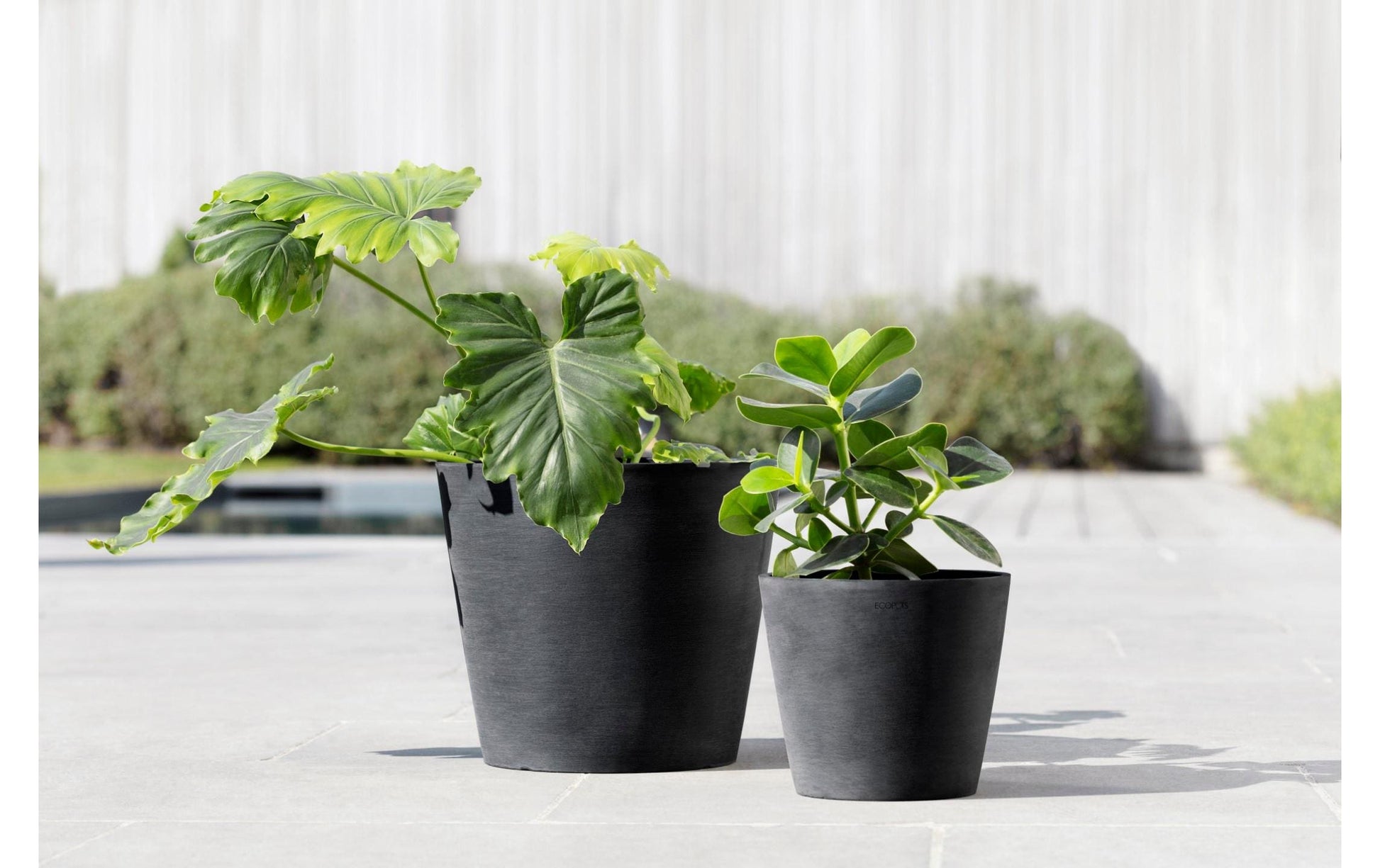 Ecopots Amsterdam Pflanztopf – Ø 20 × 17,5 cm – Recycling-Kunststoff, Dunkelgrau