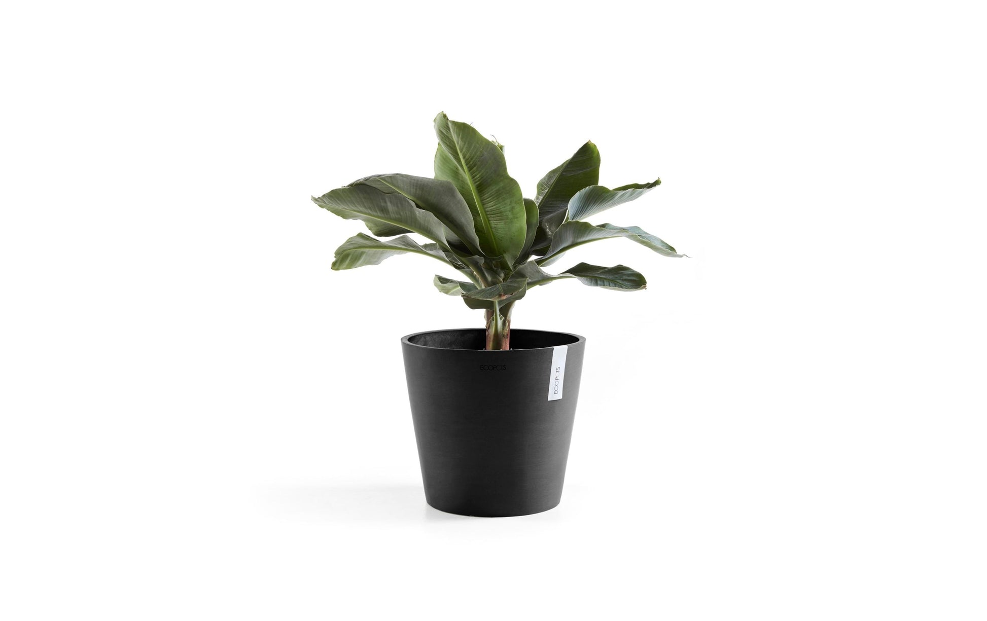 Ecopots Amsterdam Pflanzkübel – Ø 40 × 35 cm – Recycling-Kunststoff, Dunkelgrau