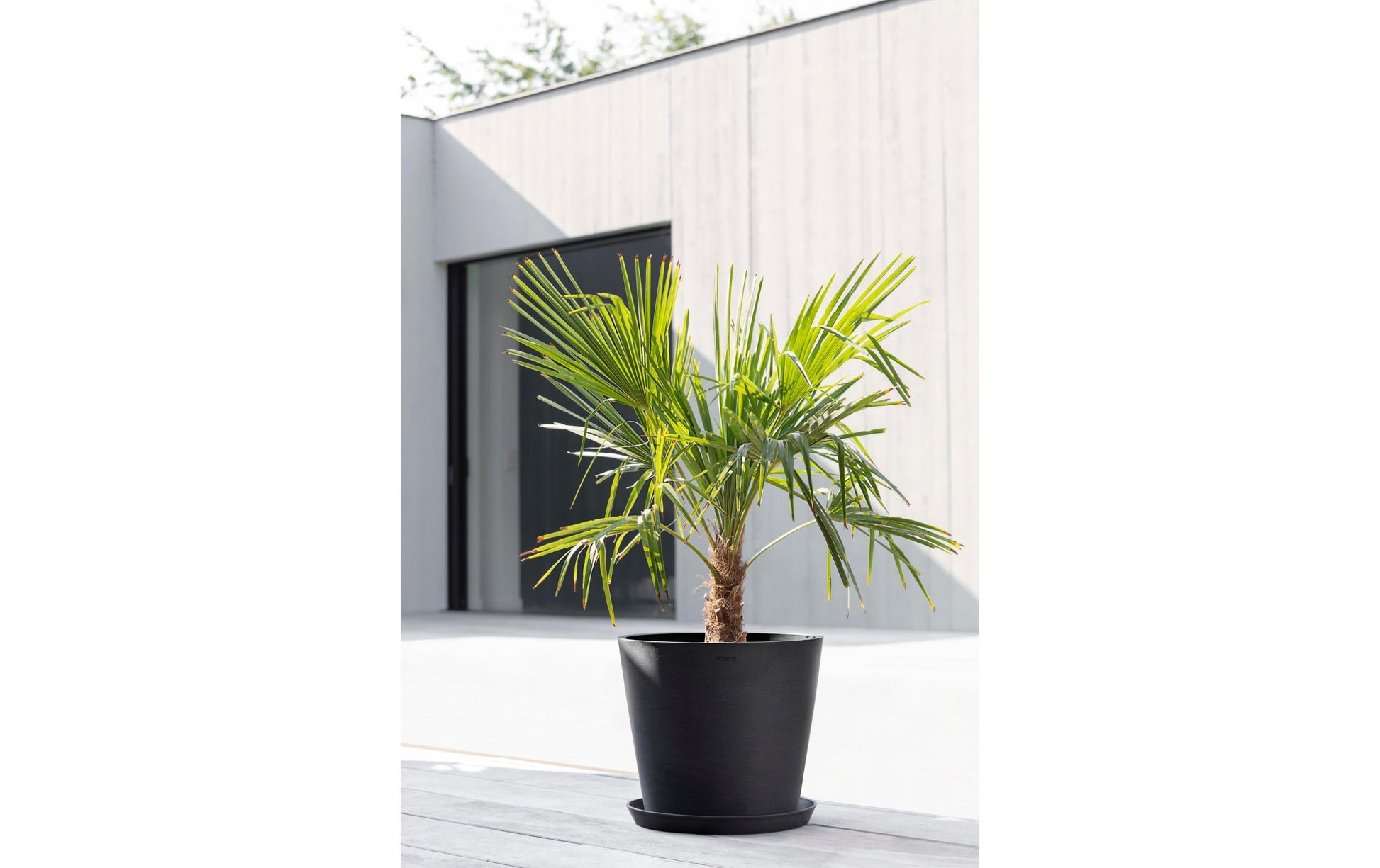 Ecopots Amsterdam Pflanzkübel – Ø 40 × 35 cm – Recycling-Kunststoff, Dunkelgrau