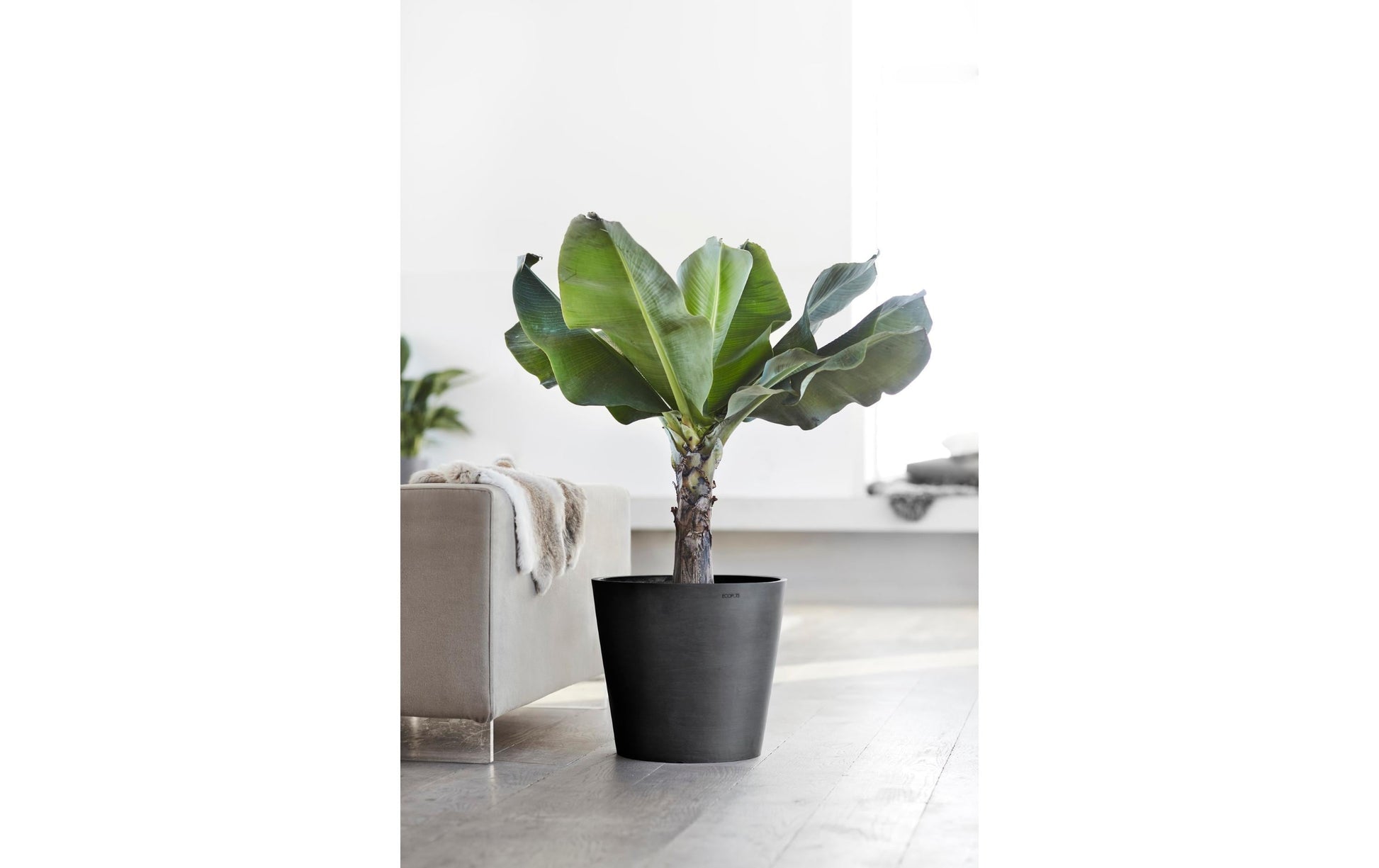 Ecopots Amsterdam Pflanzkübel – Ø 40 × 35 cm – Recycling-Kunststoff, Dunkelgrau