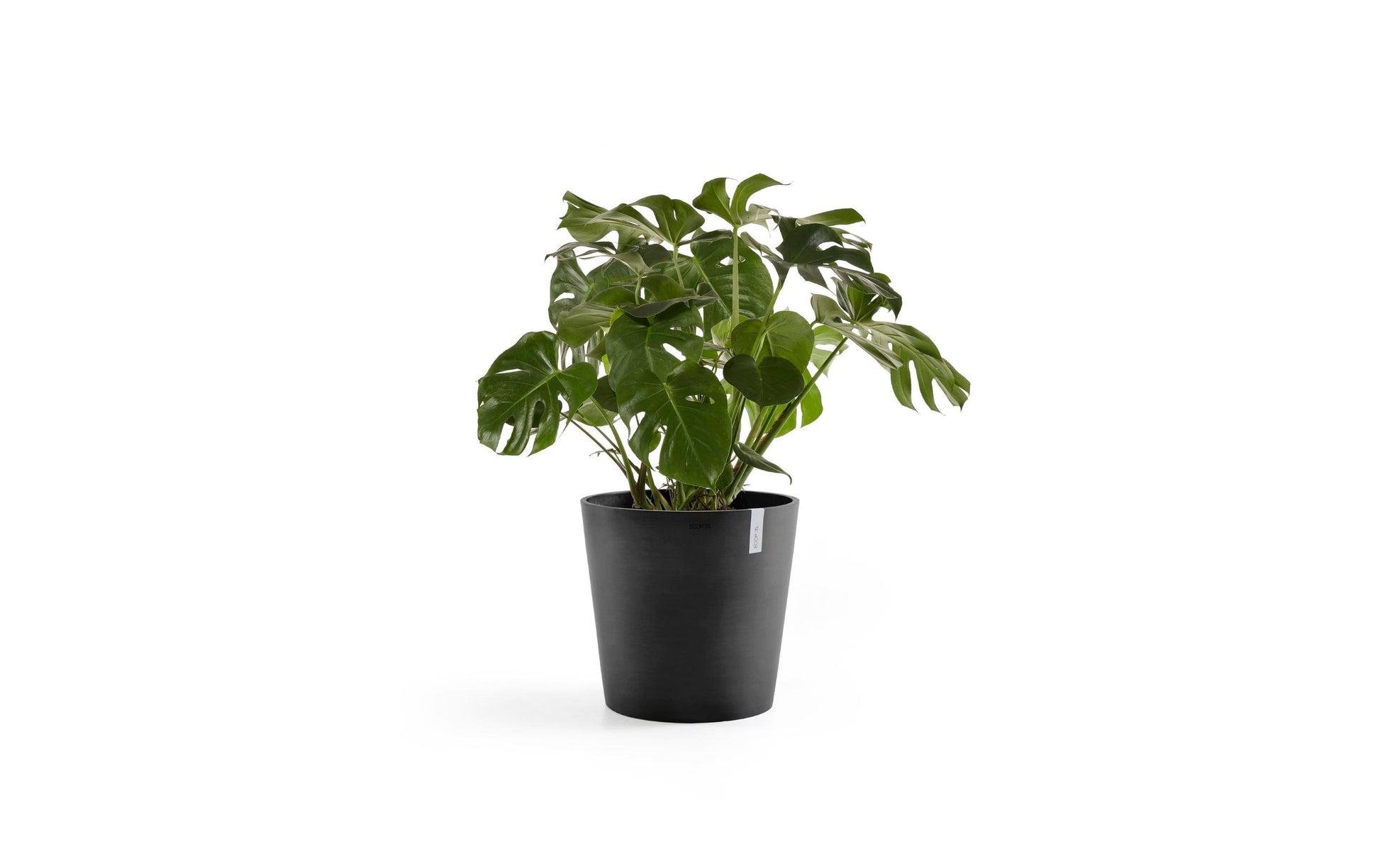 Ecopots Amsterdam Pflanzgefäss – Ø 50 × 43,8 cm – Kunststoff, dunkelgrau