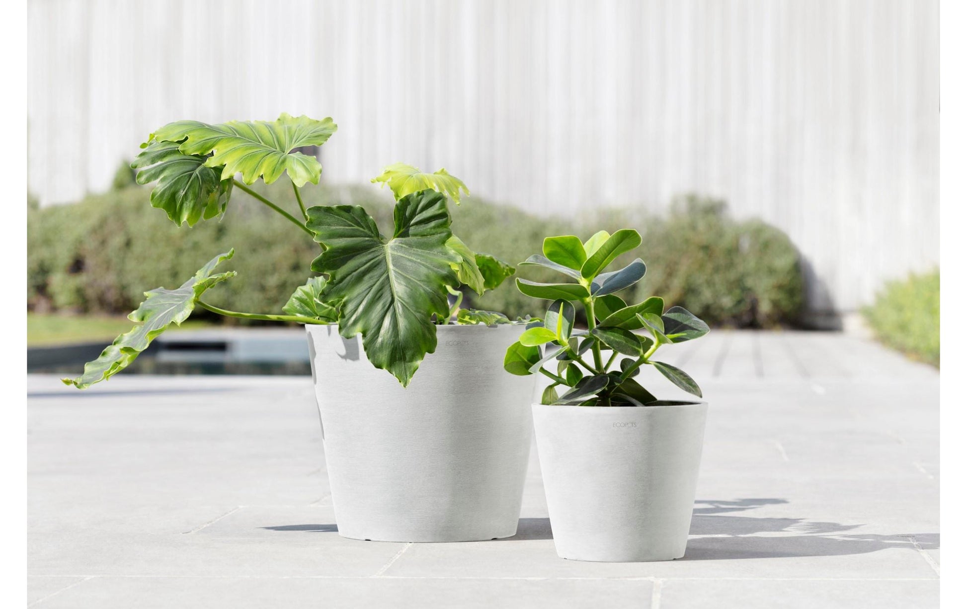 Ecopots Pflanzentopf – Ø 30 × 26,3 cm – Kunststoff, Weiss