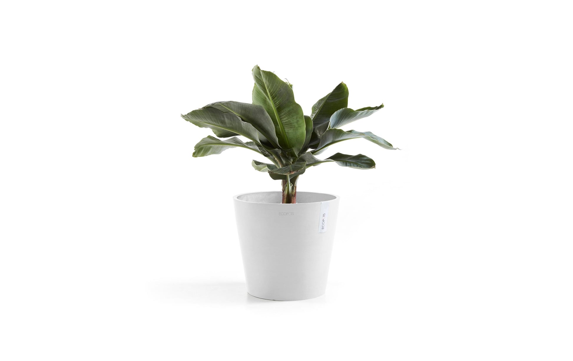 Ecopots Pflanzentopf – Ø 40 × 35 cm – Recycling-Kunststoff, Weiss
