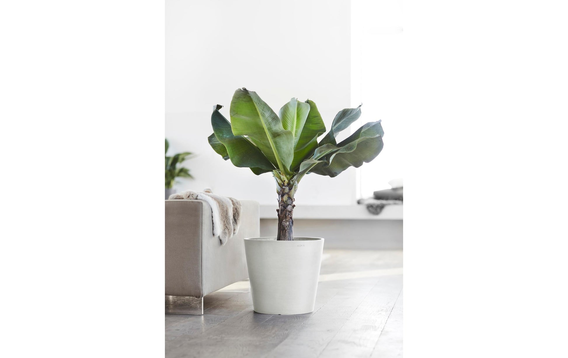 Ecopots Pflanzentopf – Ø 40 × 35 cm – Recycling-Kunststoff, Weiss