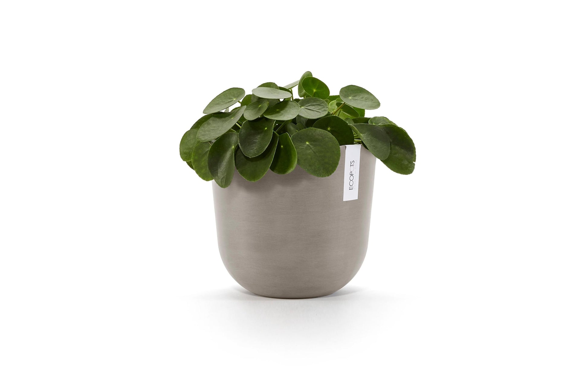 Ecopots Oslo Pflanzentopf – Ø 25 × 21,8 cm – Recycling-Kunststoff, Taupe