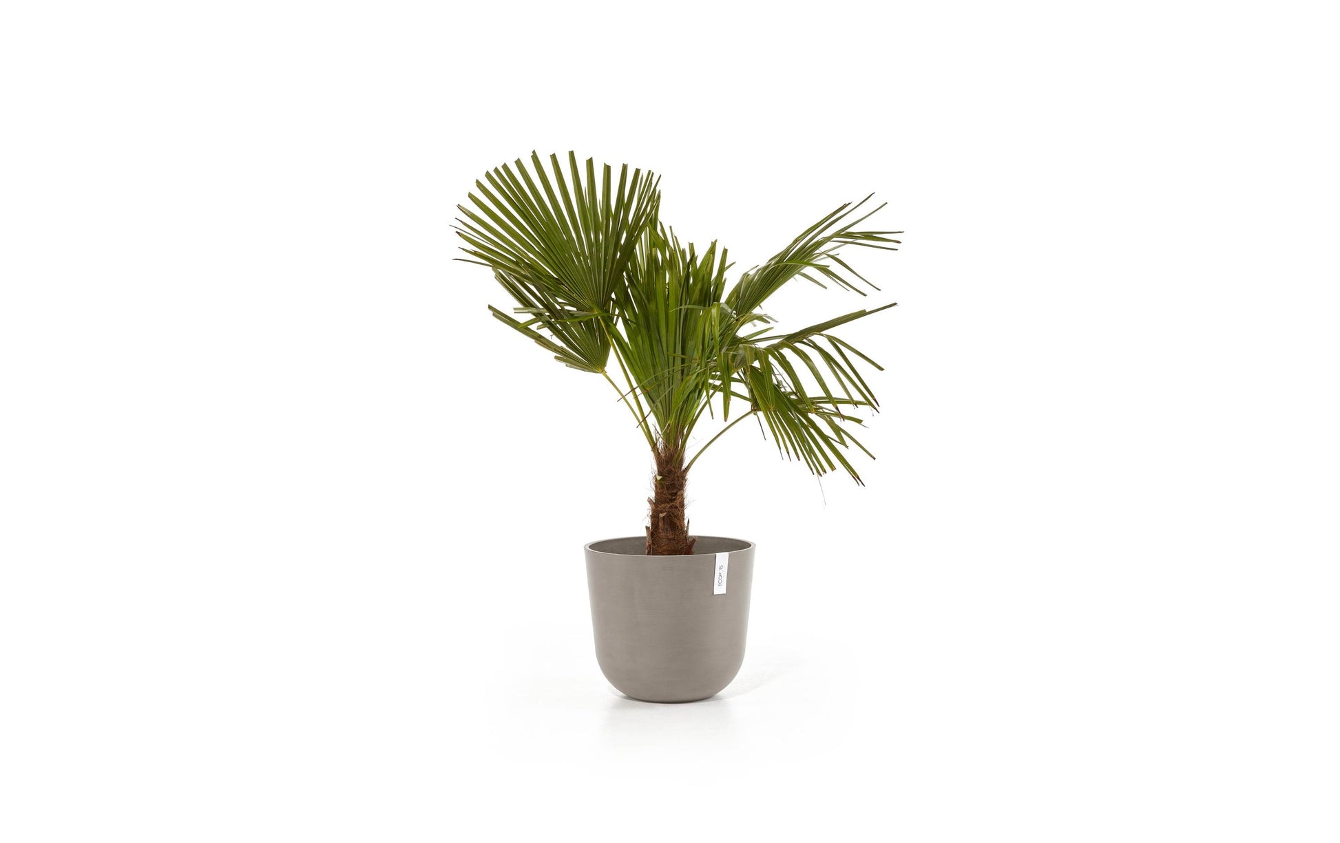 Ecopots Pflanzentopf – Ø 35 × 30,5 cm – Recycling-Kunststoff, Taupe