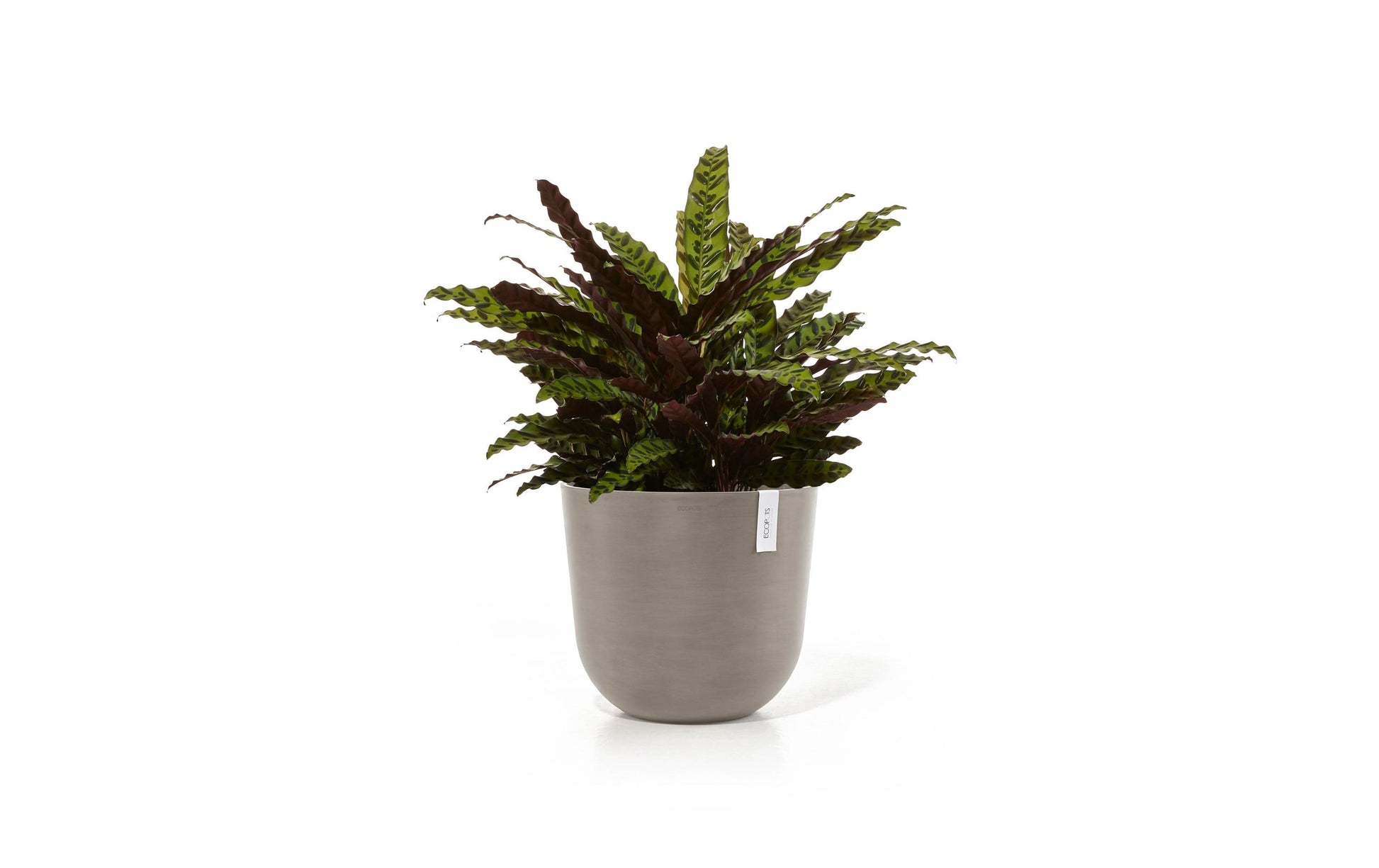Ecopots Oslo Pflanzentopf – Ø 45 × 39,2 cm – Kunststoff, Taupe