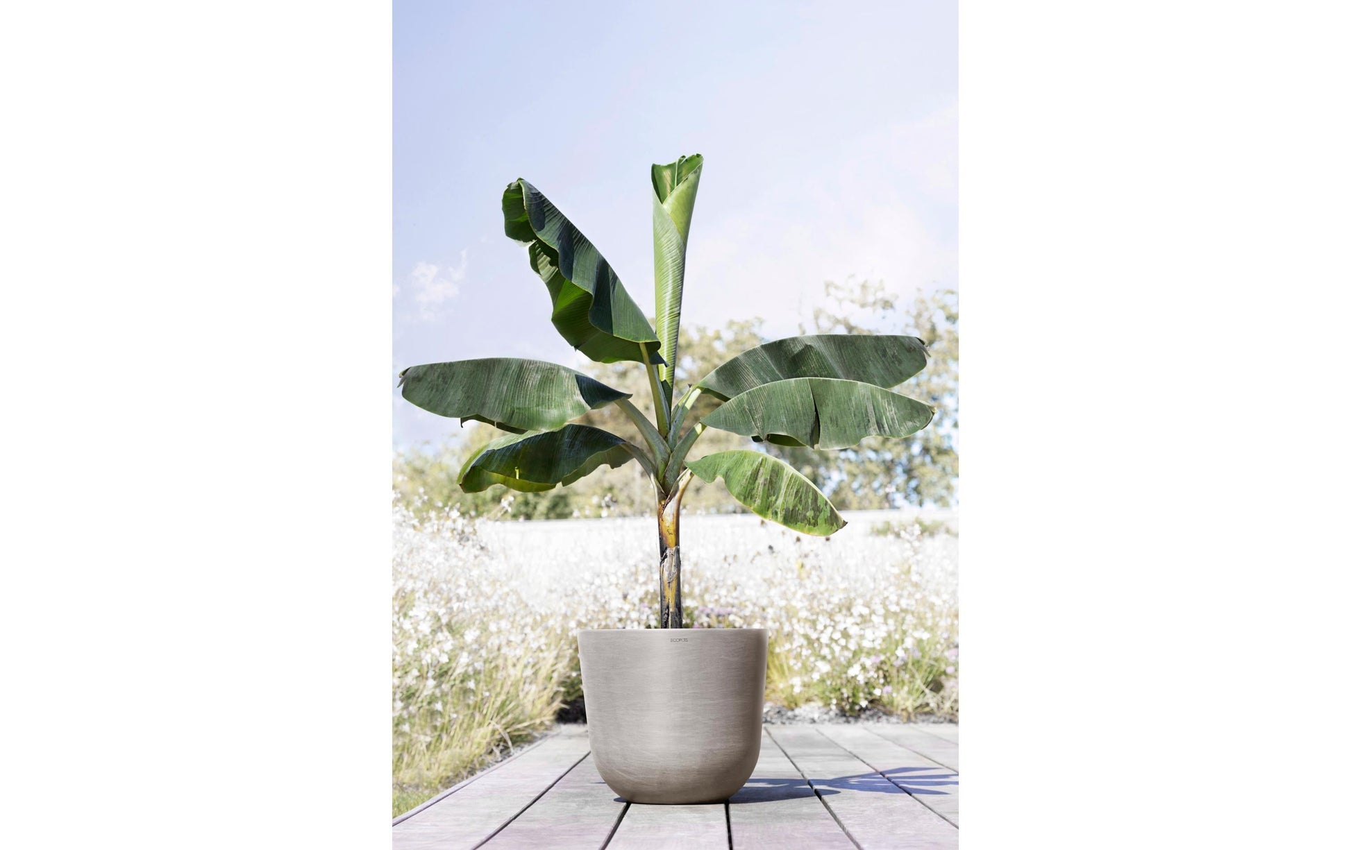 Ecopots Oslo Pflanzentopf – Ø 45 × 39,2 cm – Kunststoff, Taupe
