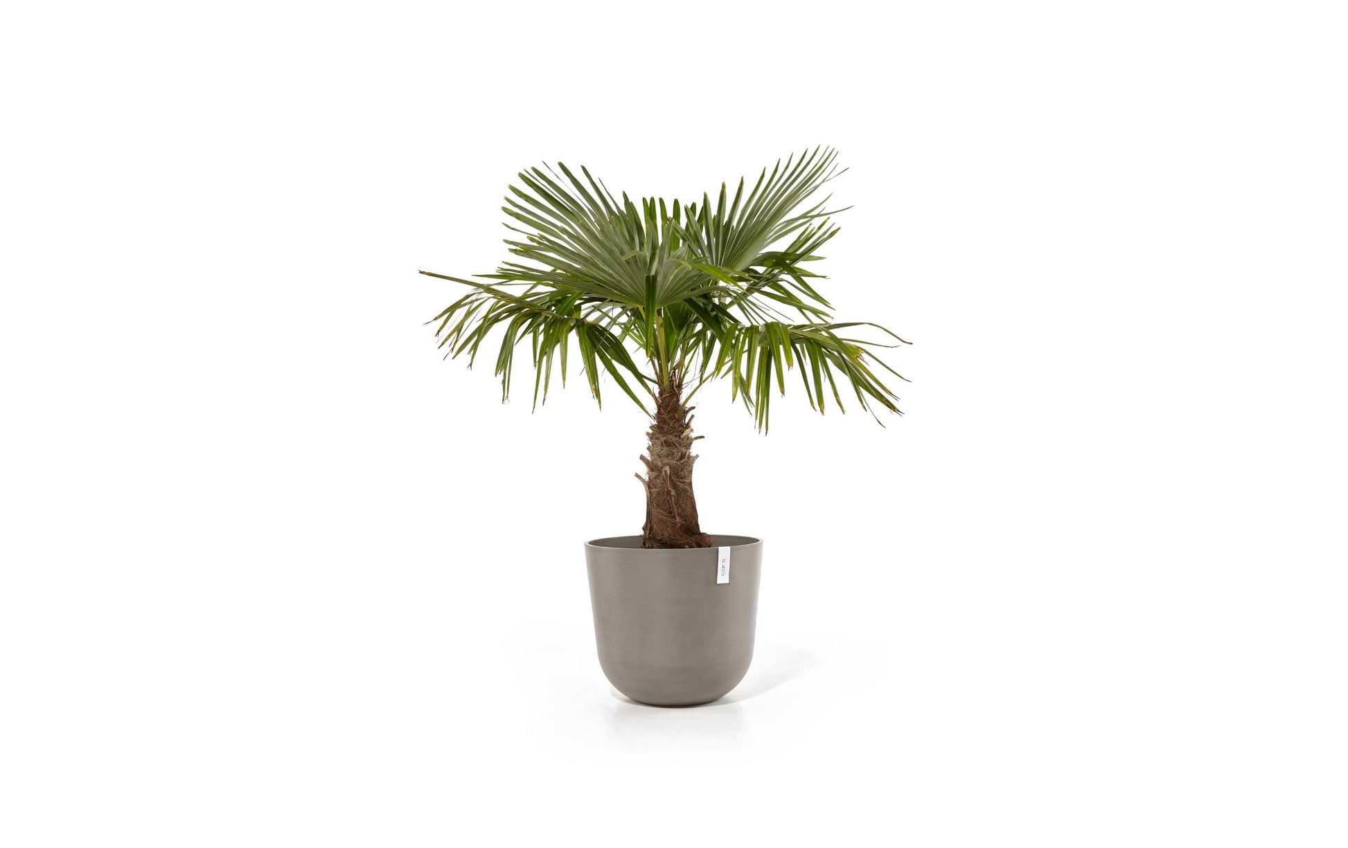 Ecopots Pflanzentopf – Ø 55 × 47,9 cm – Recycling-Kunststoff, Taupe