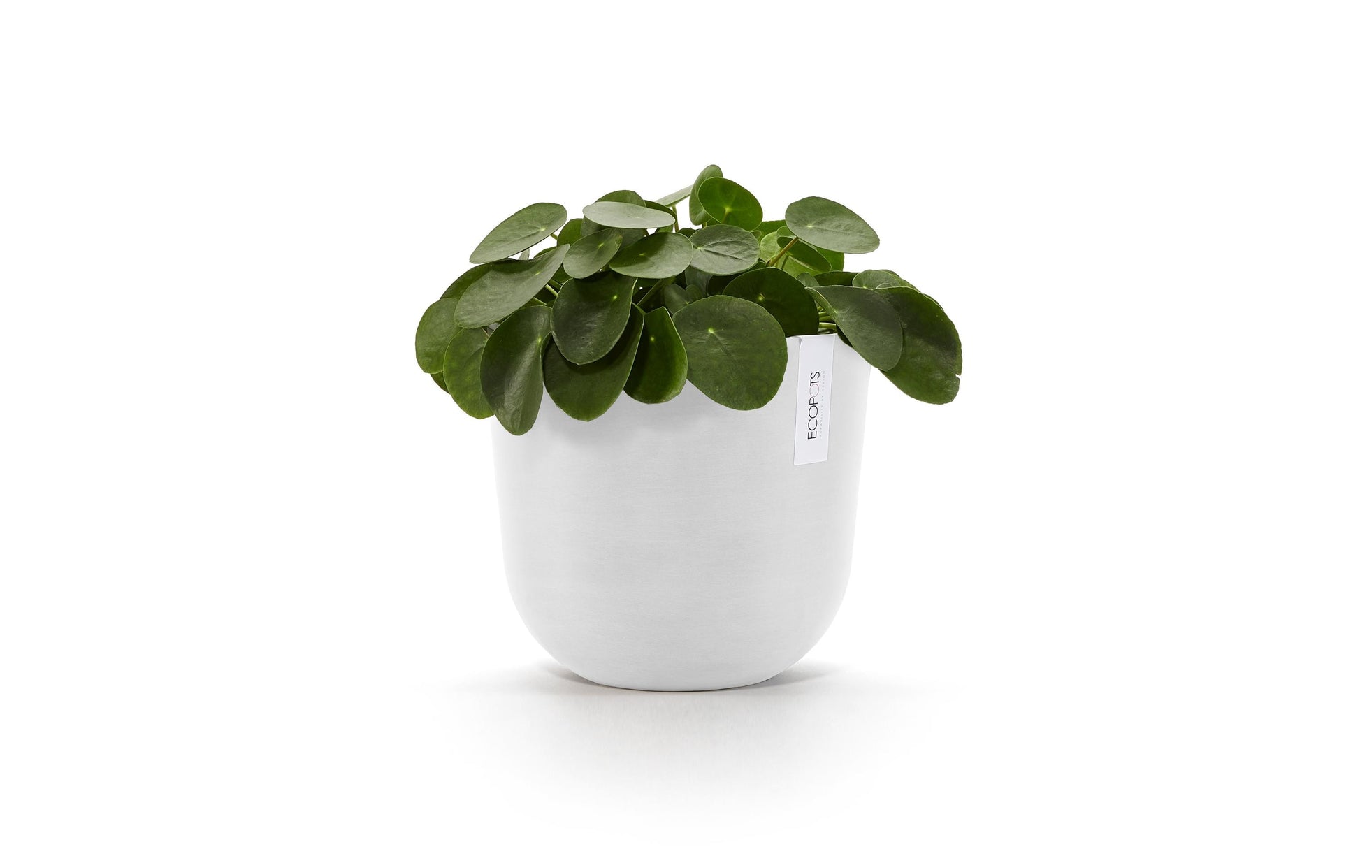 Ecopots Schale – Recycling-Kunststoff, Weiss – Ø 25 × 21,8 cm
