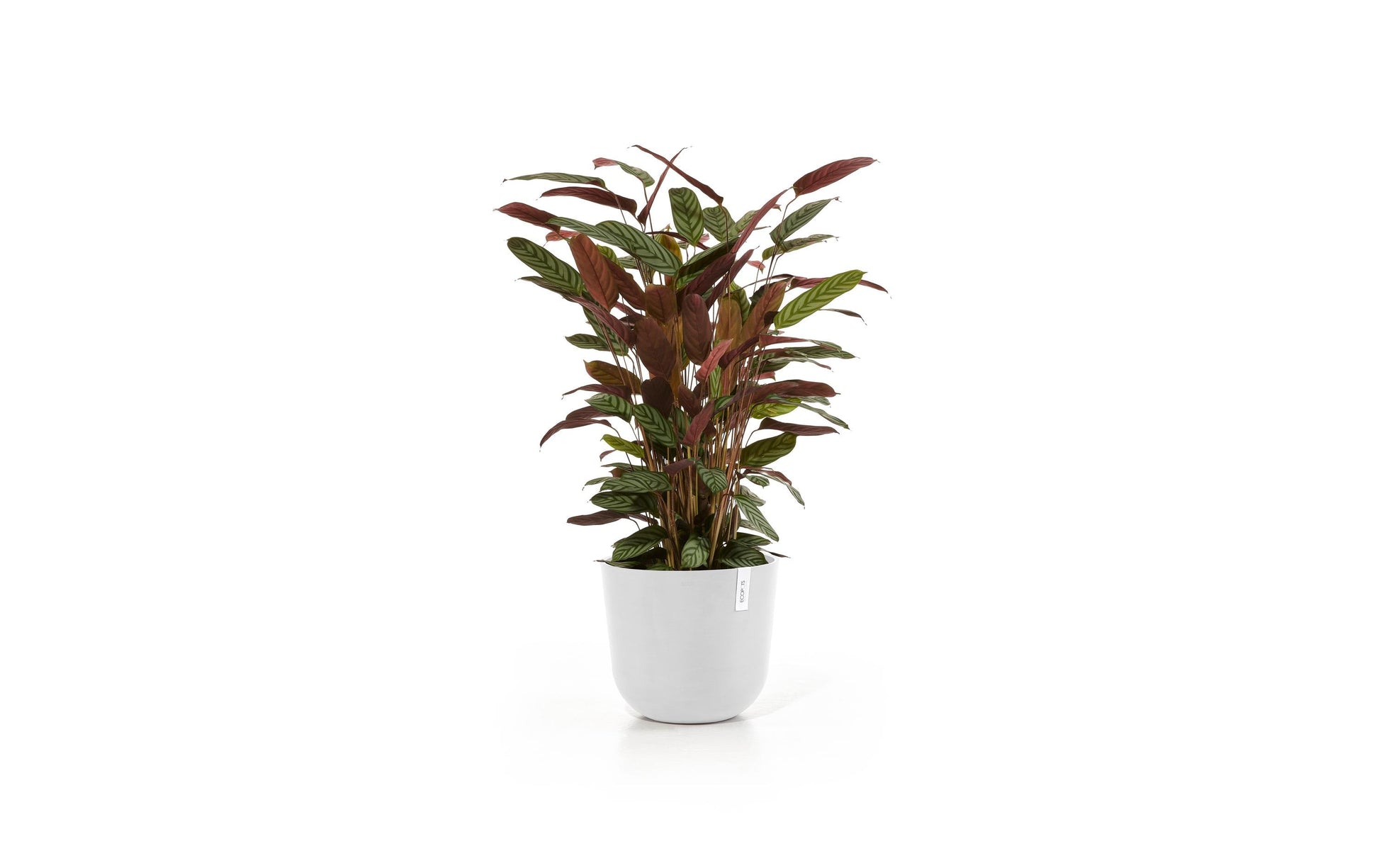 Ecopots Schale – Recycling-Kunststoff, Weiss – Ø 35 × 30,5 cm