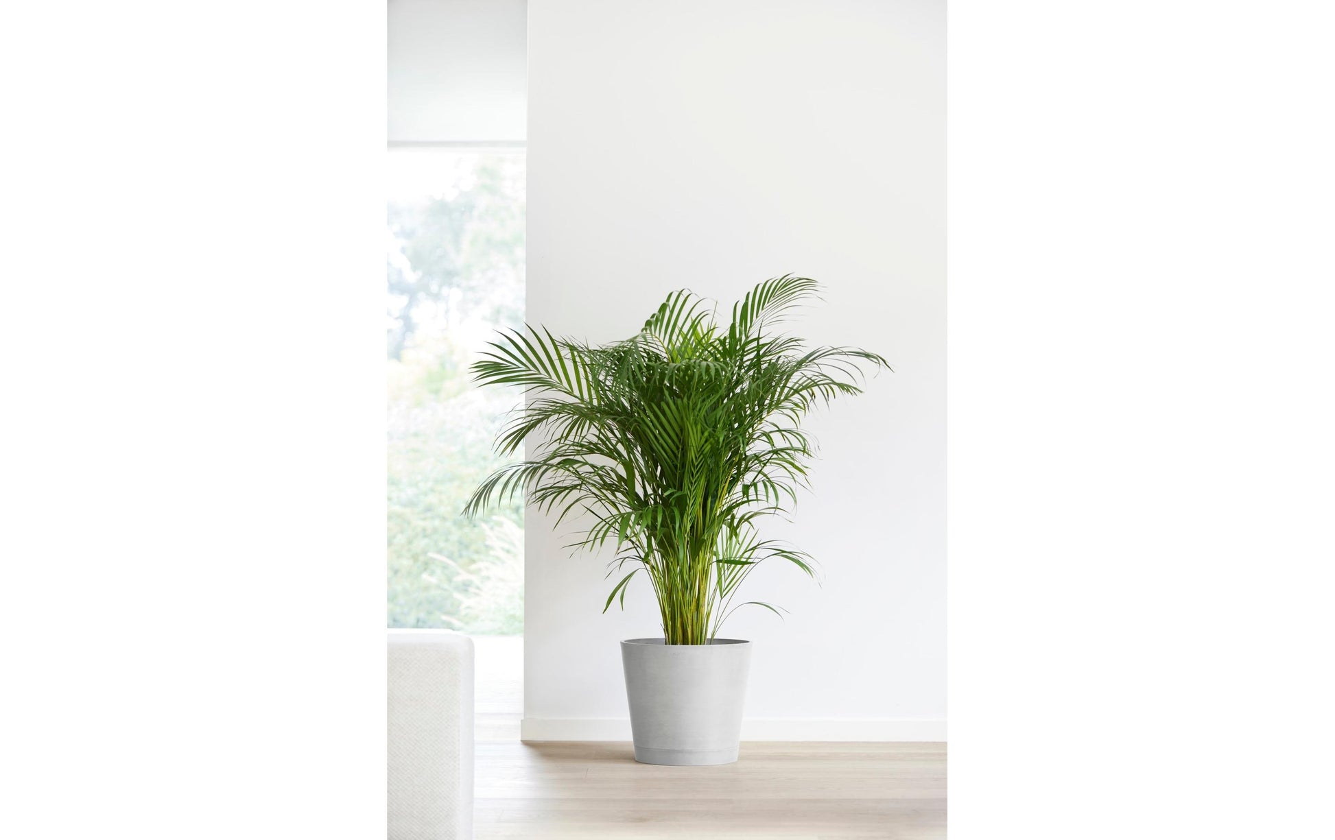 Ecopots Schale – Recycling-Kunststoff, Hellgrau – Ø 40 × 35 cm