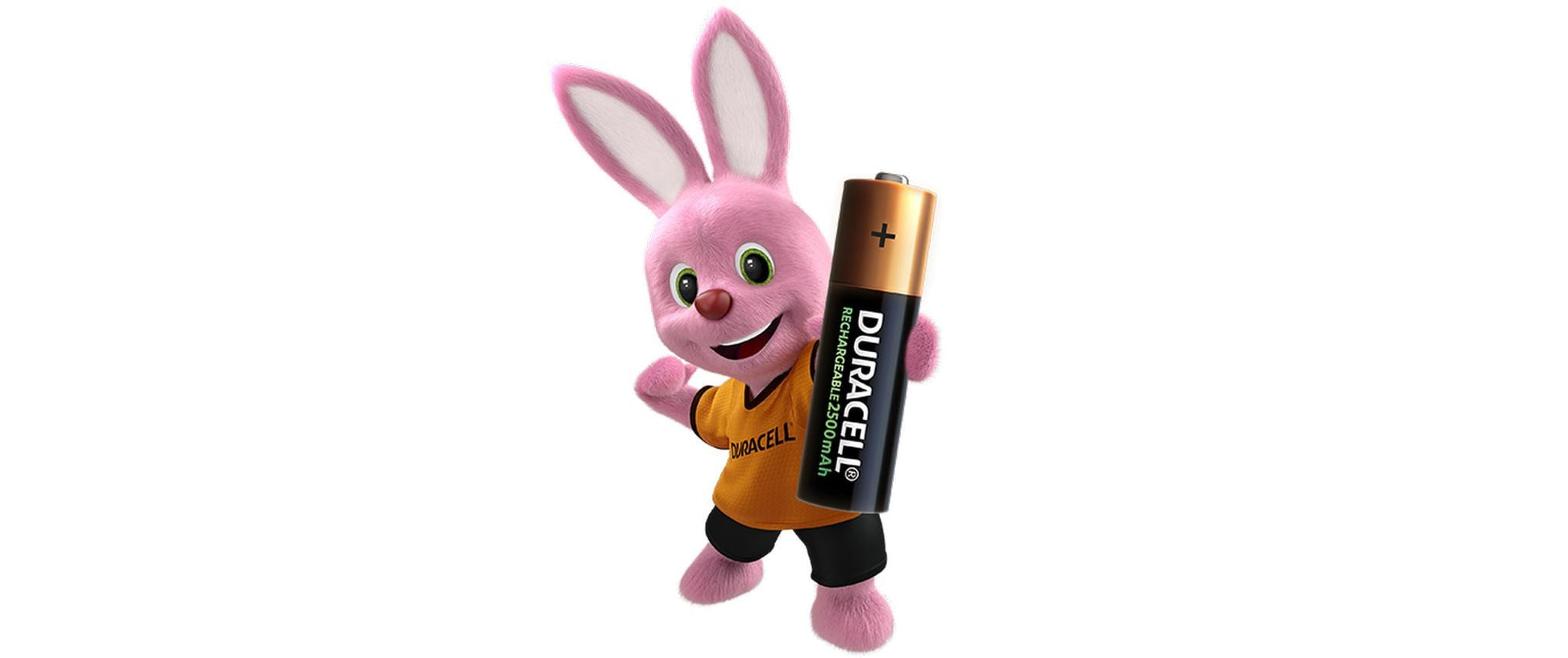 Duracell Akku 1,2 V 2500 mAh 3,00 Wh Ni-MH