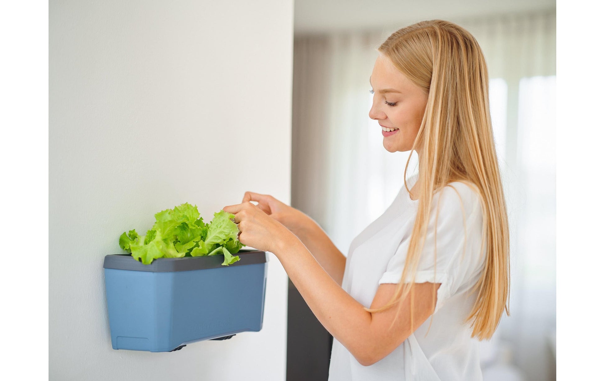 Gusta Garden Wandhalterung – Polypropylen/Stahl – Schwarz – für diverse Anwendungen