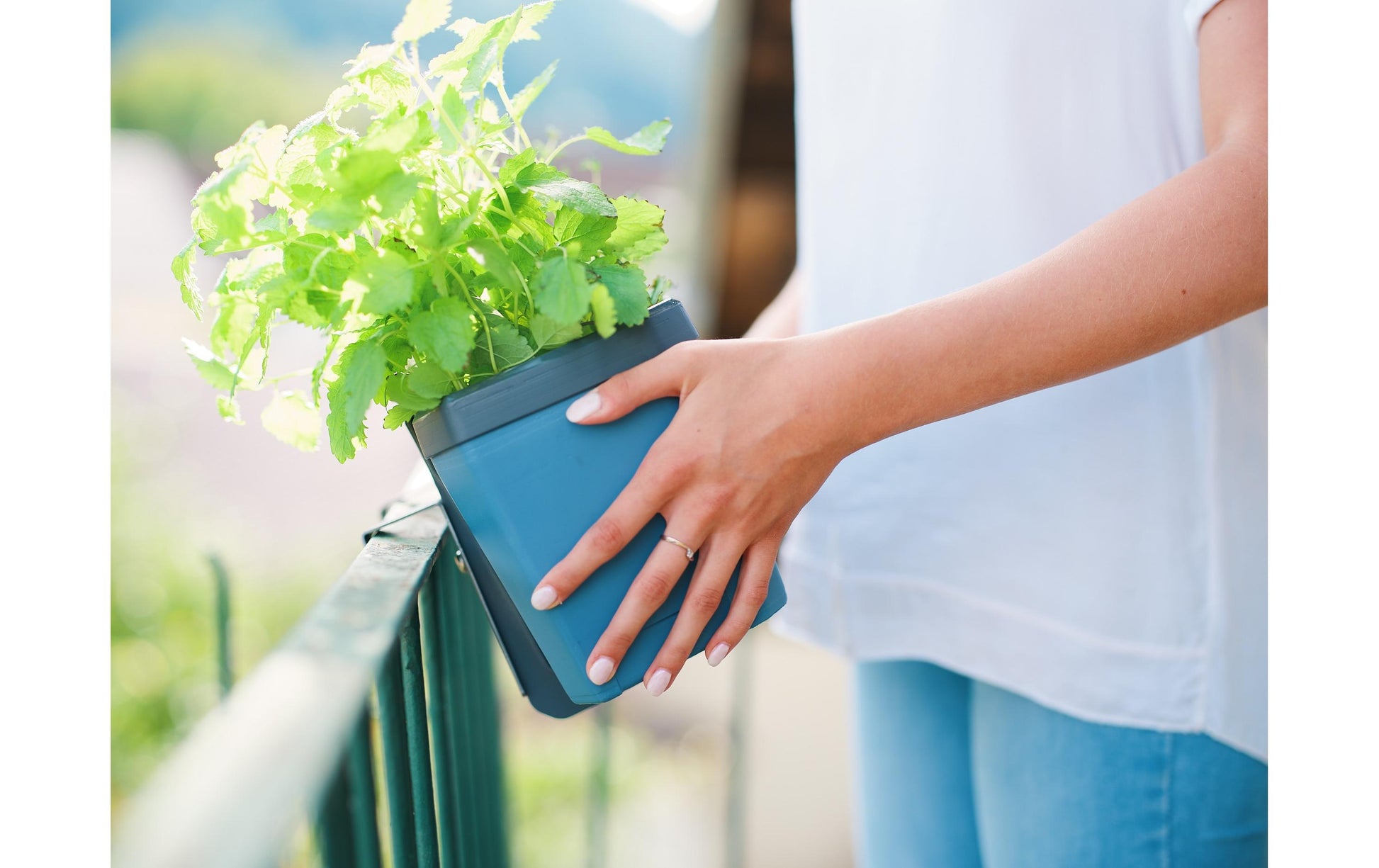 Gusta Garden Pflanzenkastenhalter 30B004 Ø 40 mm – Schwarz, Polypropylen/Stahl, für Innen- und Aussenbereich