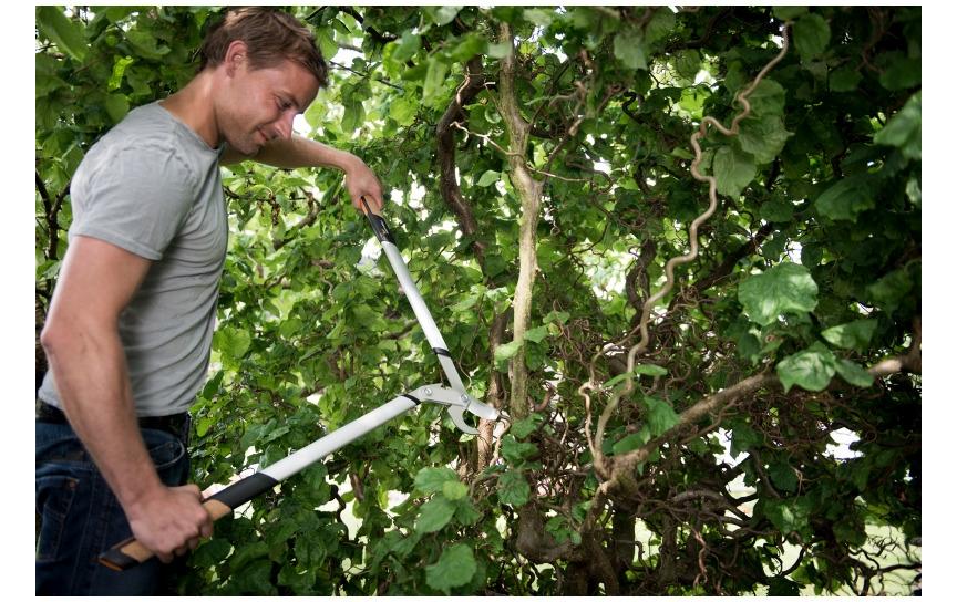 Fiskars Quantum L109 – Amboss-Getriebeastschere 55 mm, Edelstahl, schwarz, 1 Stk.