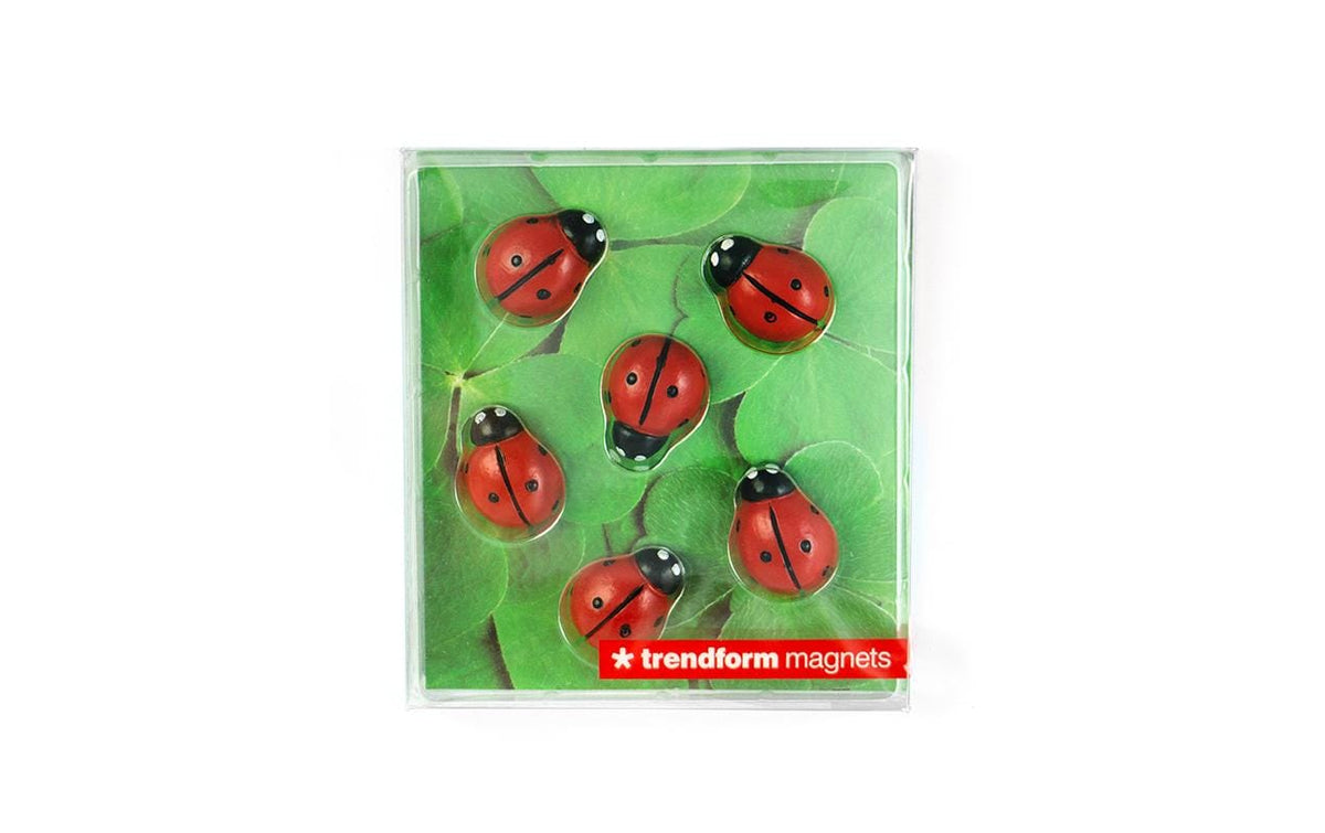 Trendform Tafelmagnete – Ø 17 mm – 6 Stk. – rot