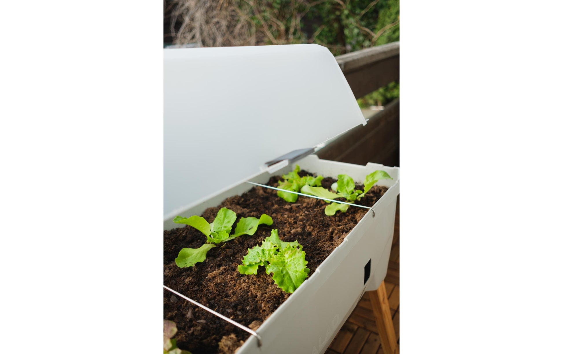 Gusta Garden SAMMY SALAD Hochbeet – 79 × 37,5 × 95 cm – Kunststoff & Lärche, Hellgrau