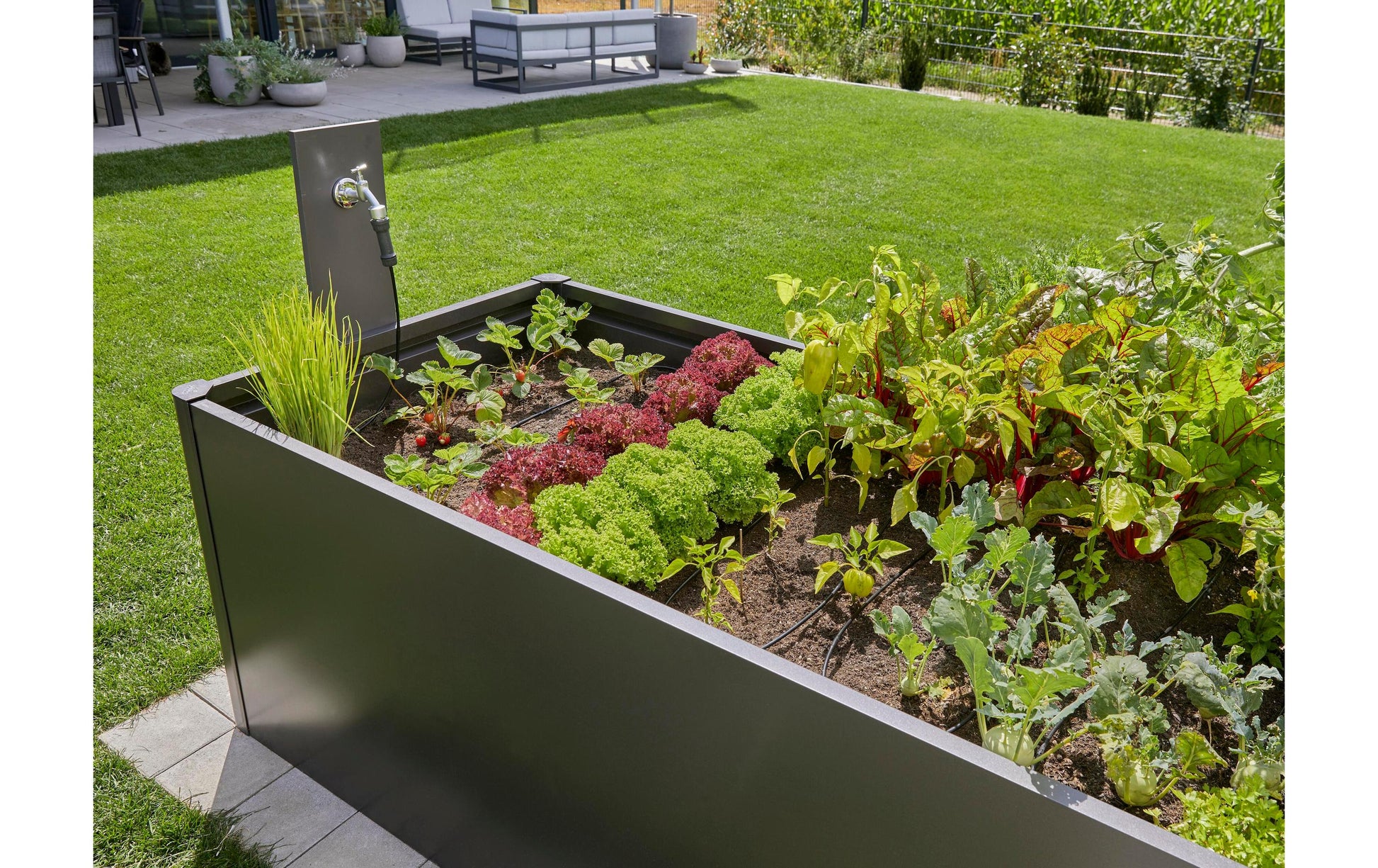 Gardena Tropfbewässerungs-Set 15 m Schlauch – Kunststoff – Grün, Schwarz – 13455-20