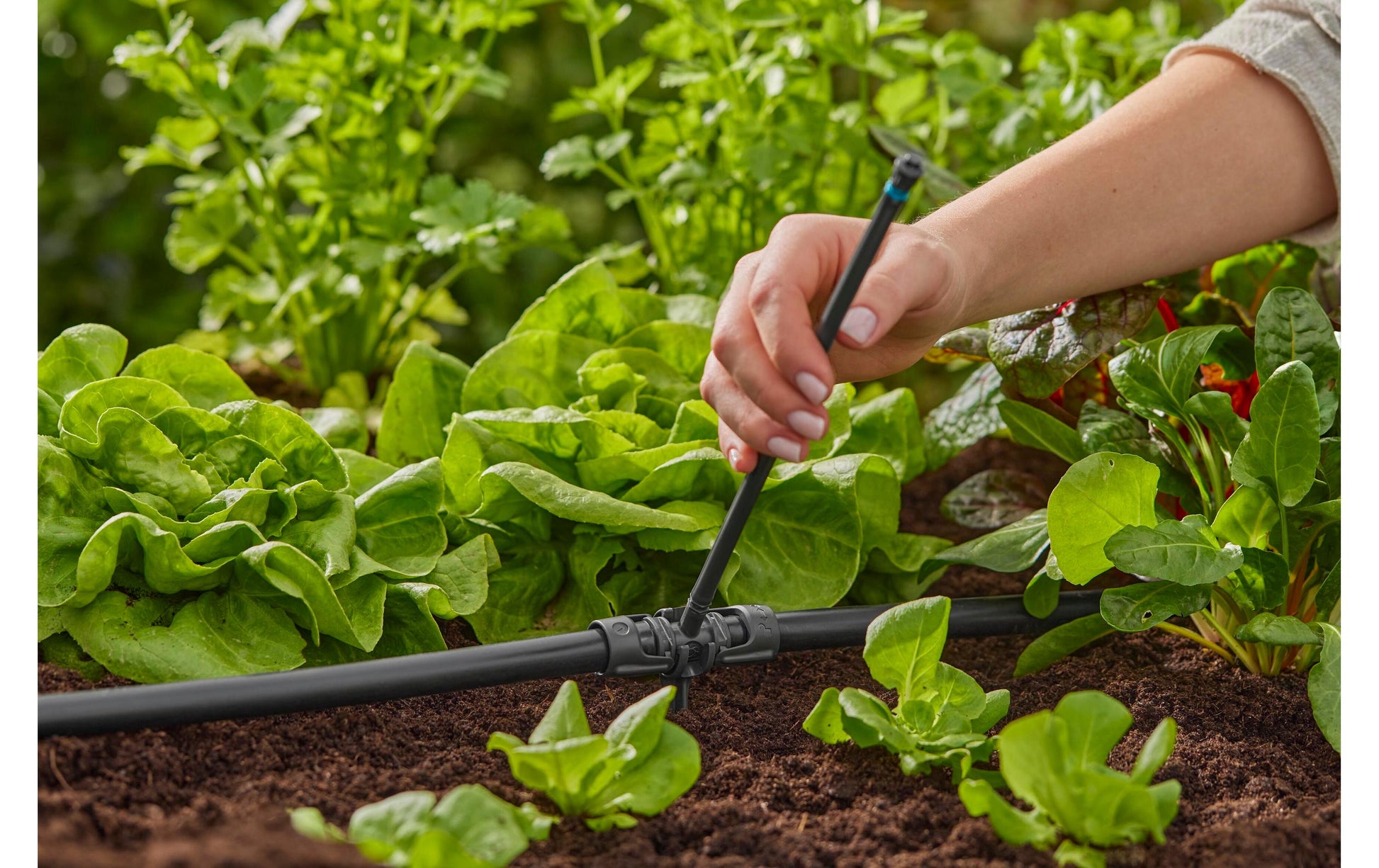 Gardena Micro-Drip-System Knotenverbinder – 13 mm, Kunststoff, schwarz, für Tropfbewässerungssystem