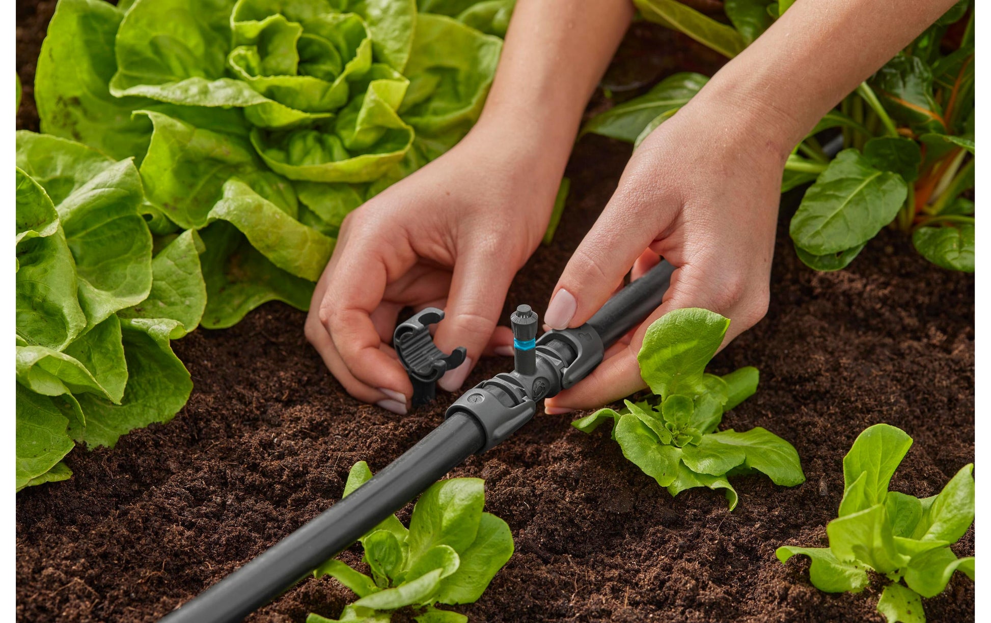 Gardena Micro-Drip-System Sprühdüse 30 mm Kunststoff – 1 Stk – 360°