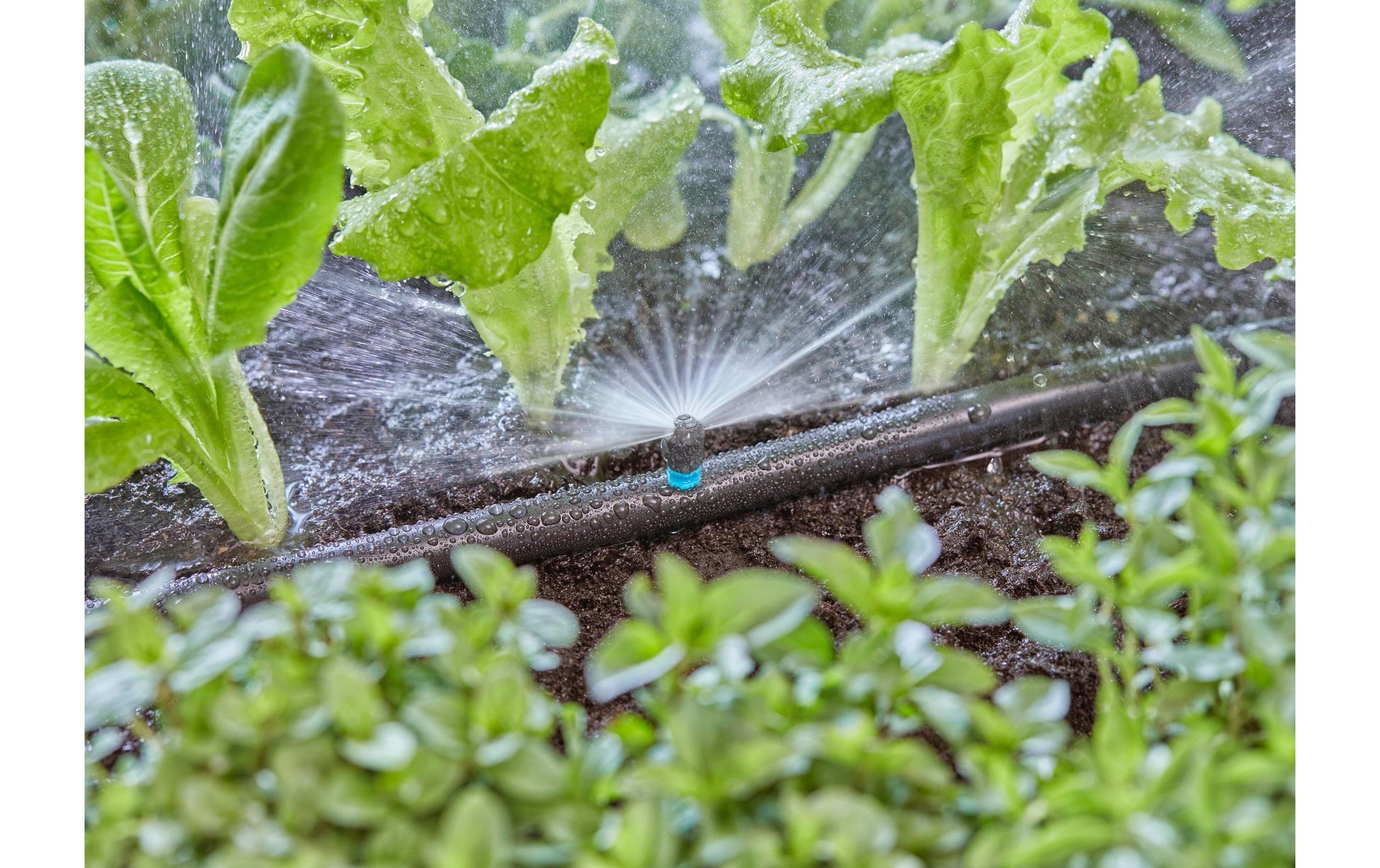 Gardena Sprühausguss – Länge 30 mm, 180° Sprühdüse, 2,75 m, Kunststoff, Schwarz/Grün, für Tropfbewässerung