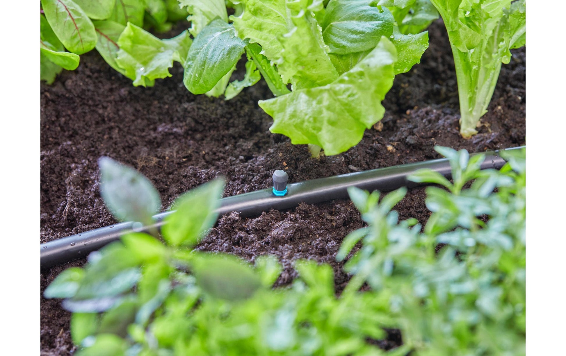 Gardena Micro-Drip-System Sprühdüse 30 mm Kunststoff – 1 Stück – 90° Sprühdüse – für Tropfbewässerungssystem