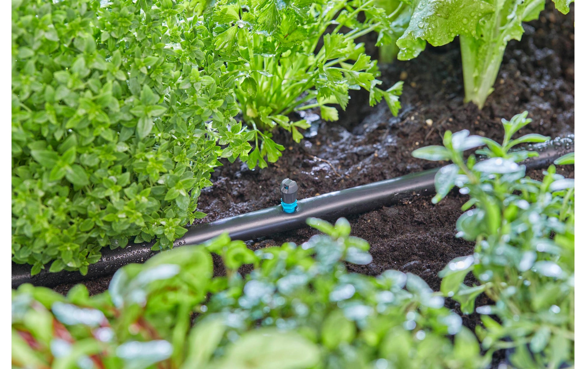 Gardena Streifendüse – 30 mm, Kunststoff, Grau/Türkis, 5 Stk., für Micro-Drip-System