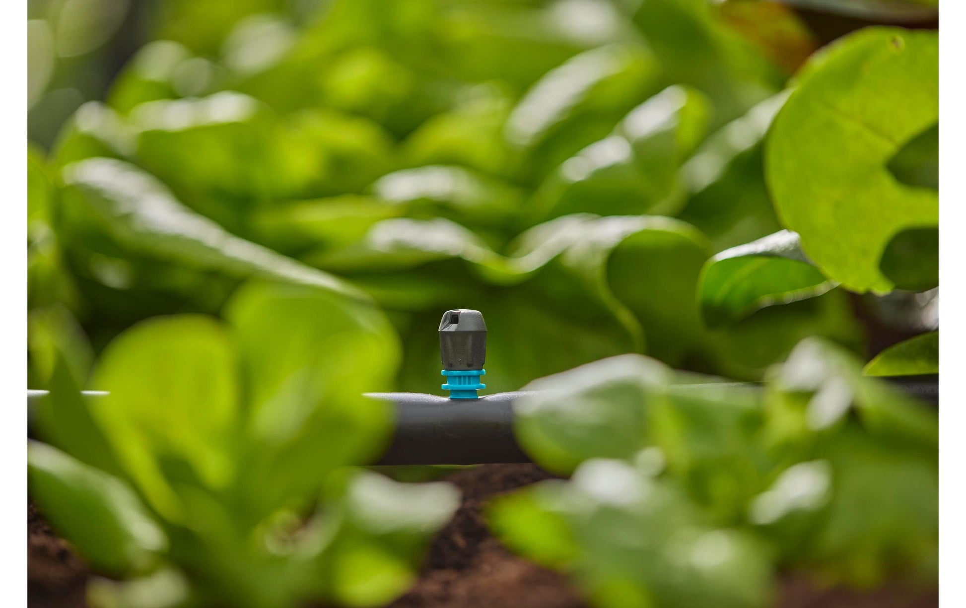 Gardena Endstreifendüse 30 mm Kunststoff – 5 Stk – Endzeilenmontage – für Micro-Drip-System