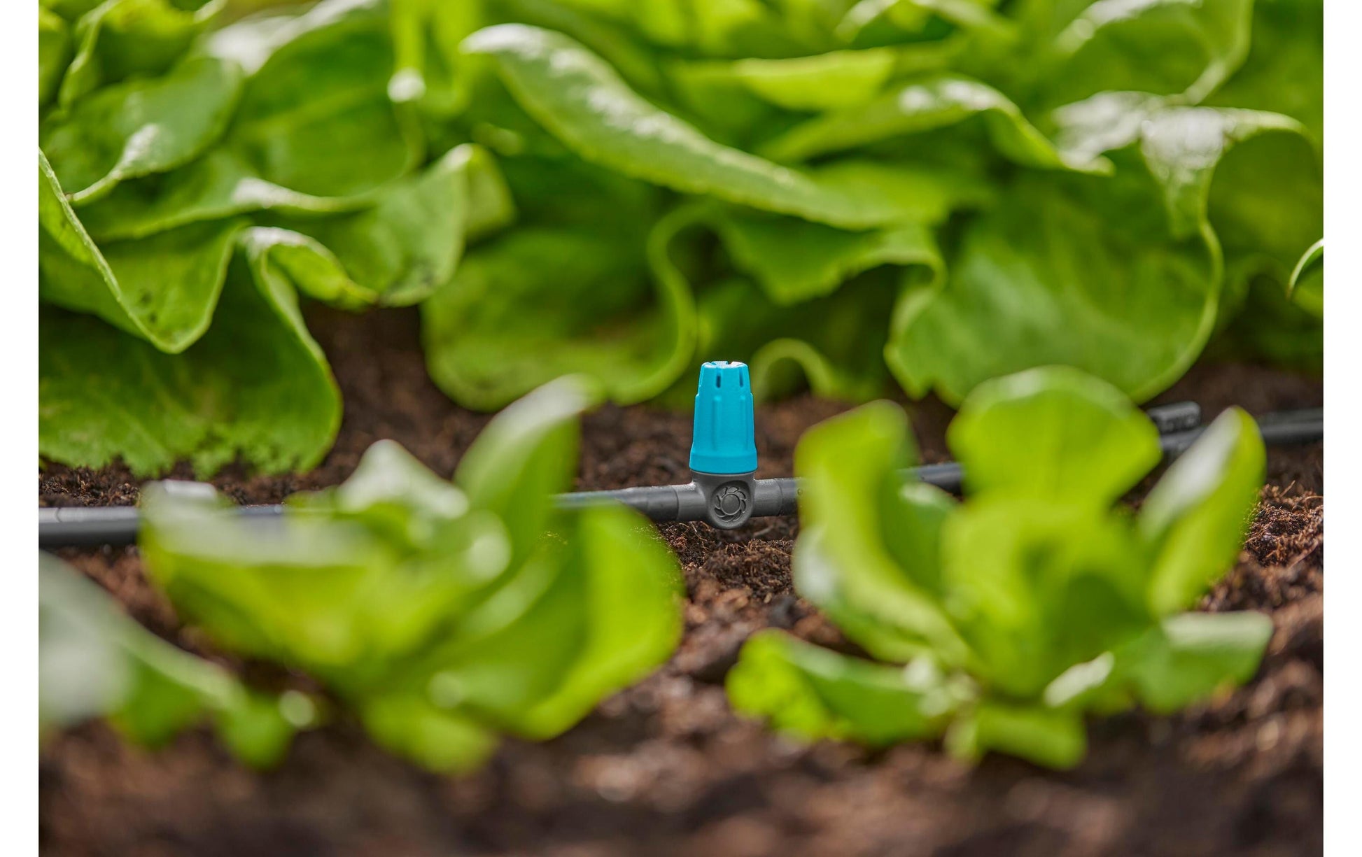 Gardena Kleinflächendüse 42 mm Kunststoff – für Tropfbewässerungssystem – 1 Stk – für Micro-Drip-System