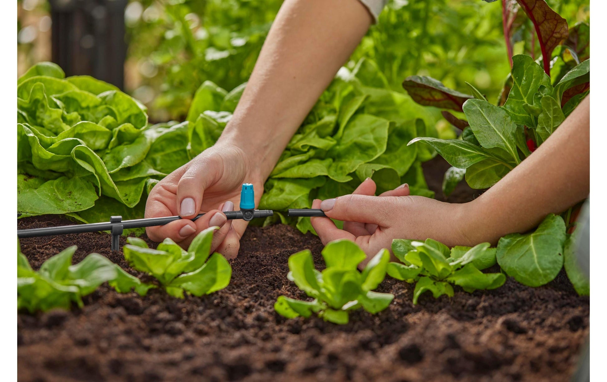 Gardena Kleinflächendüse 42 mm Kunststoff – für Tropfbewässerungssystem – 1 Stk – für Micro-Drip-System
