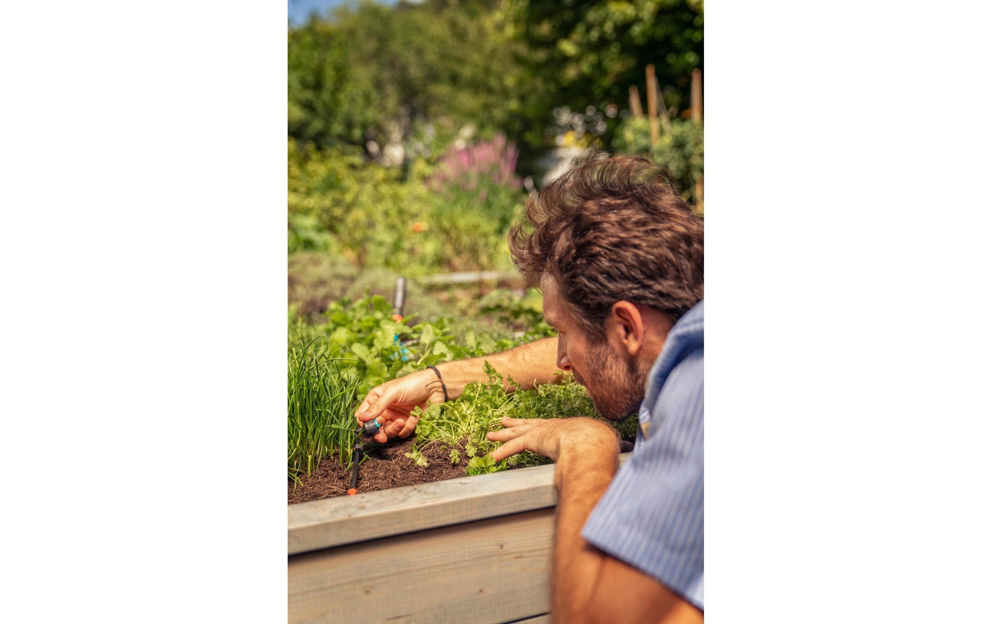 Gardena Reihentropfer 1–8 l/h 36 mm Kunststoff – 5 Stk – für Micro-Drip-System