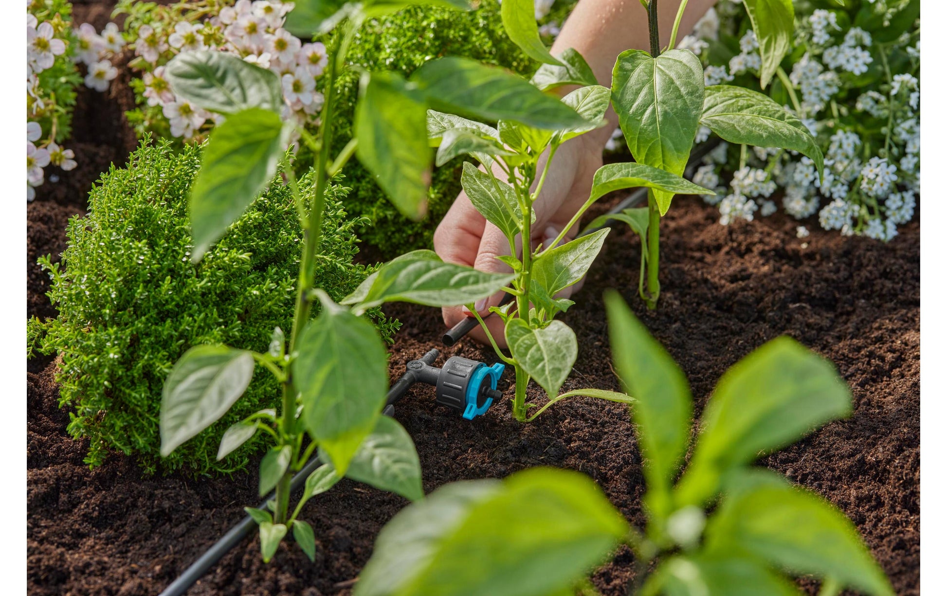 Gardena Reihentropfer 1–8 l/h 36 mm Kunststoff – 5 Stk – für Micro-Drip-System