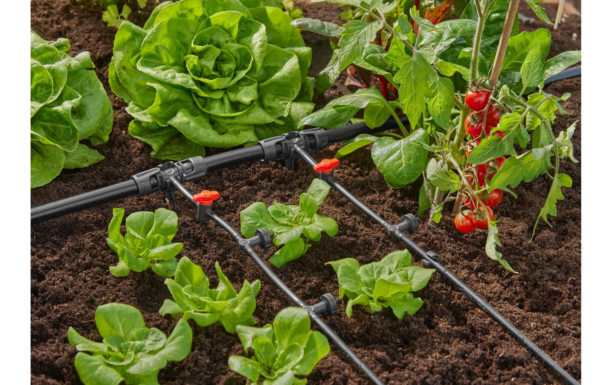 Gardena Reihentropfer Micro-Drip-System 13312-20 – 2 l/h, 3,7 cm, Kunststoff, 10 Stück