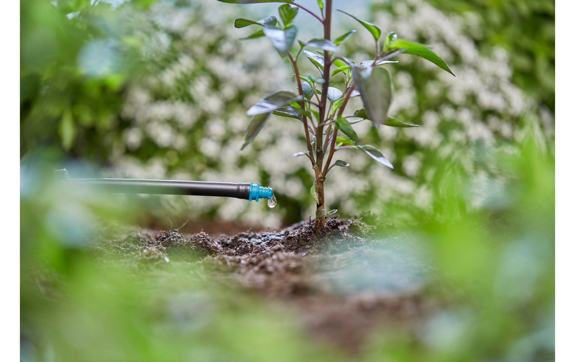 Gardena Endtropfer 2 l/h Kunststoff – 1 Stk – Endzeilenmontage – für Micro-Drip-System