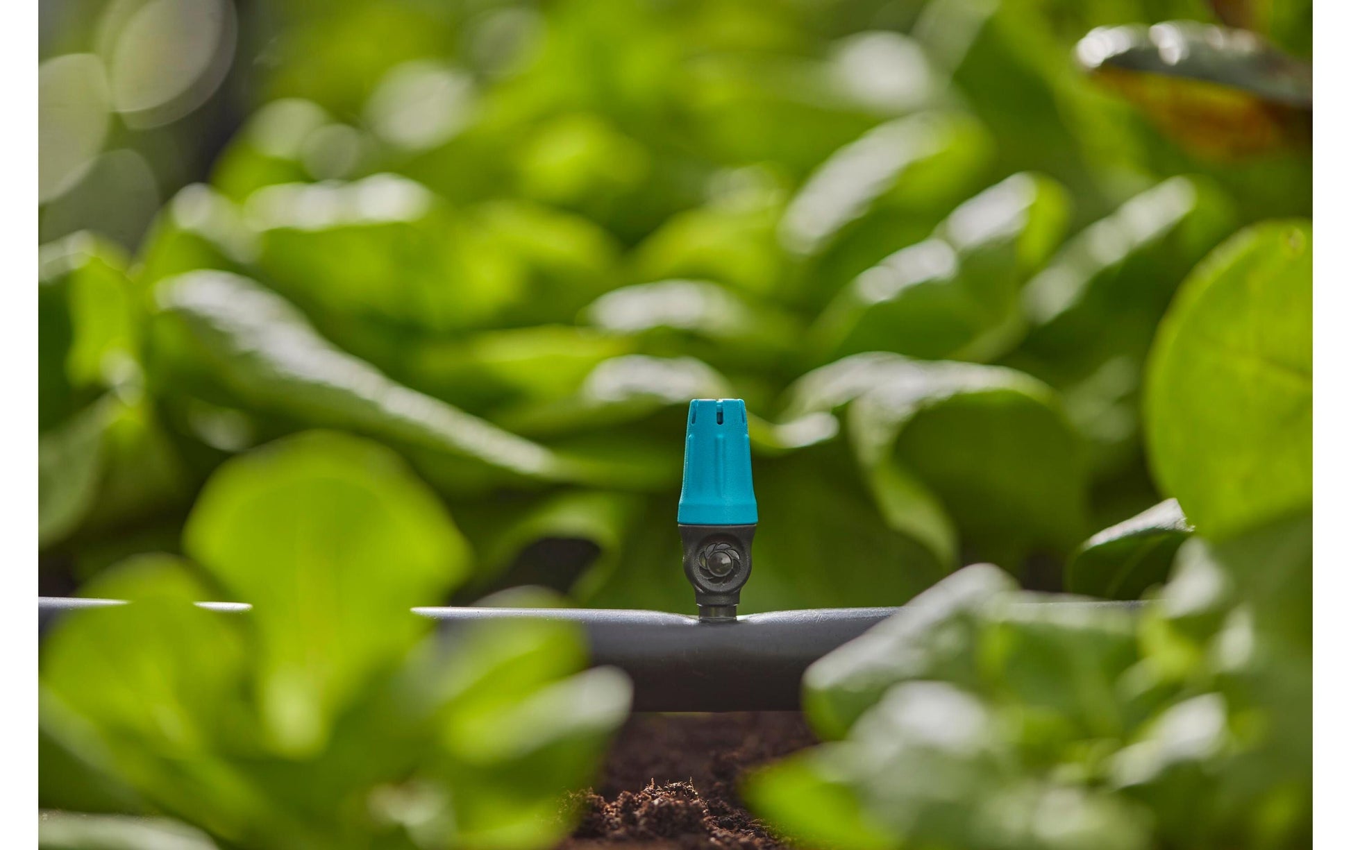 Gardena Endkleinflächendüse – 46 mm, Kunststoff, schwarz/grün, für Micro-Drip-System