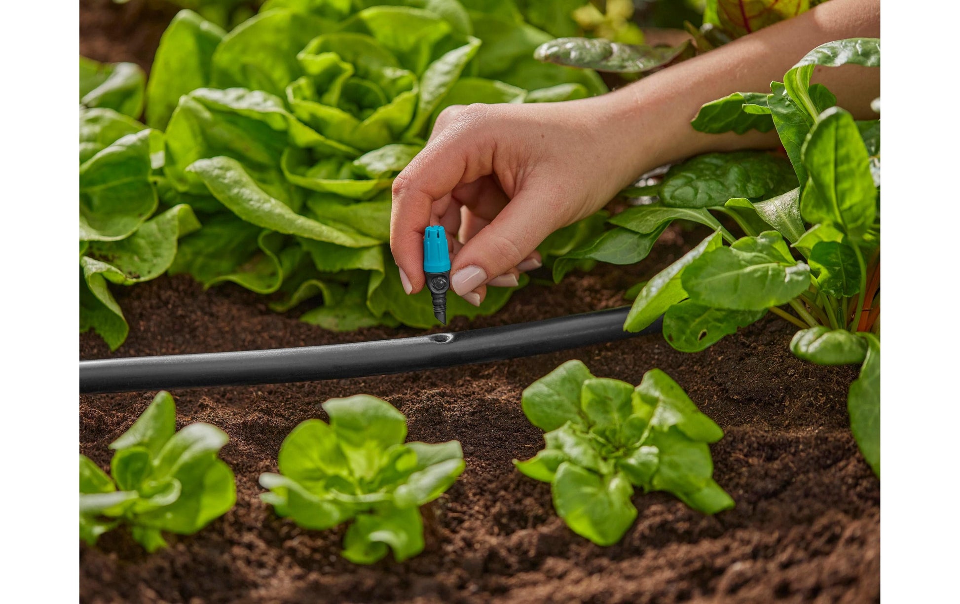 Gardena Endkleinflächendüse – 46 mm, Kunststoff, schwarz/grün, für Micro-Drip-System