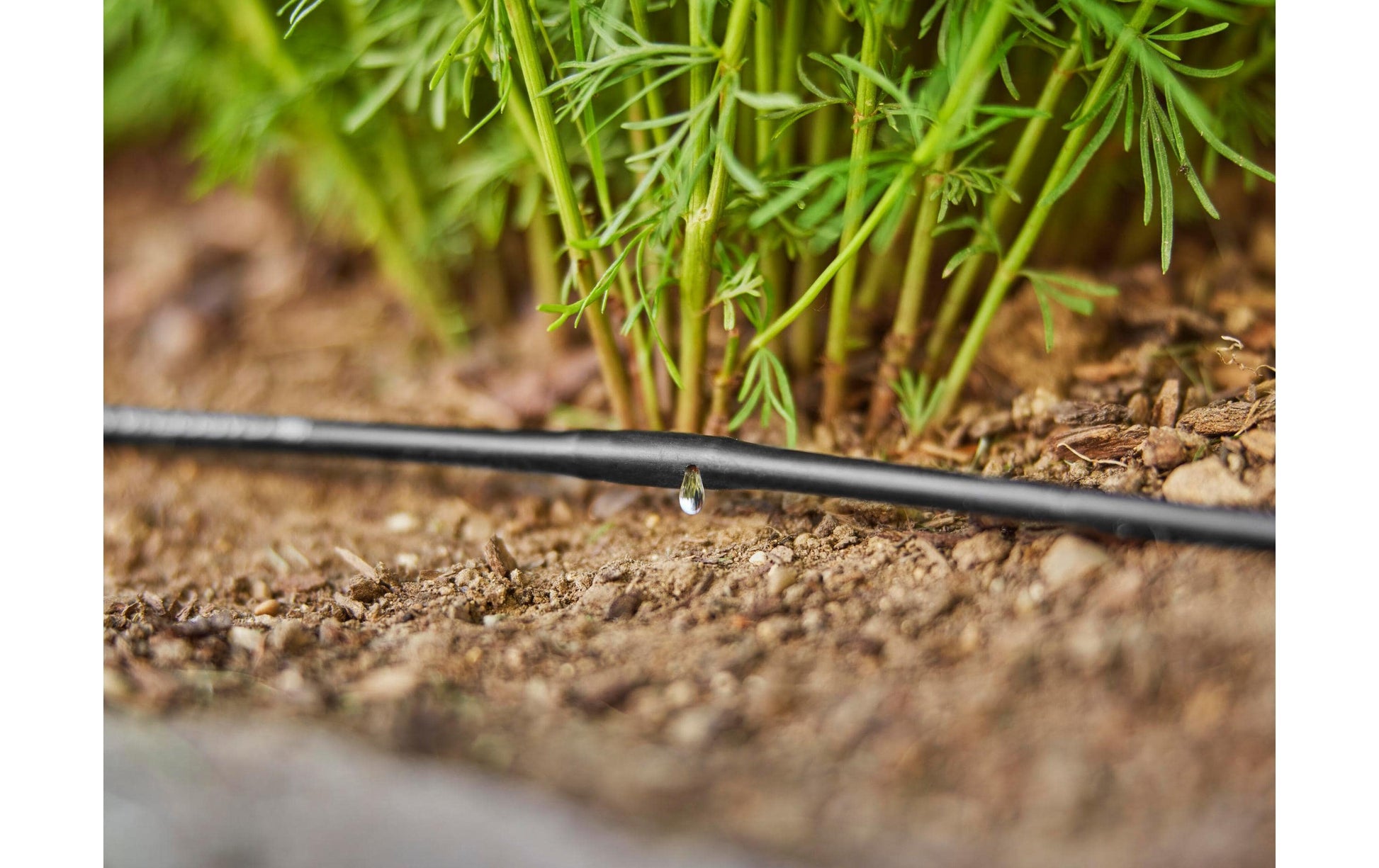 Gardena Knotenverbinder – Schlauch Ø 13–16 mm, 26 mm, Kunststoff, Schwarz, für Micro-Drip-System