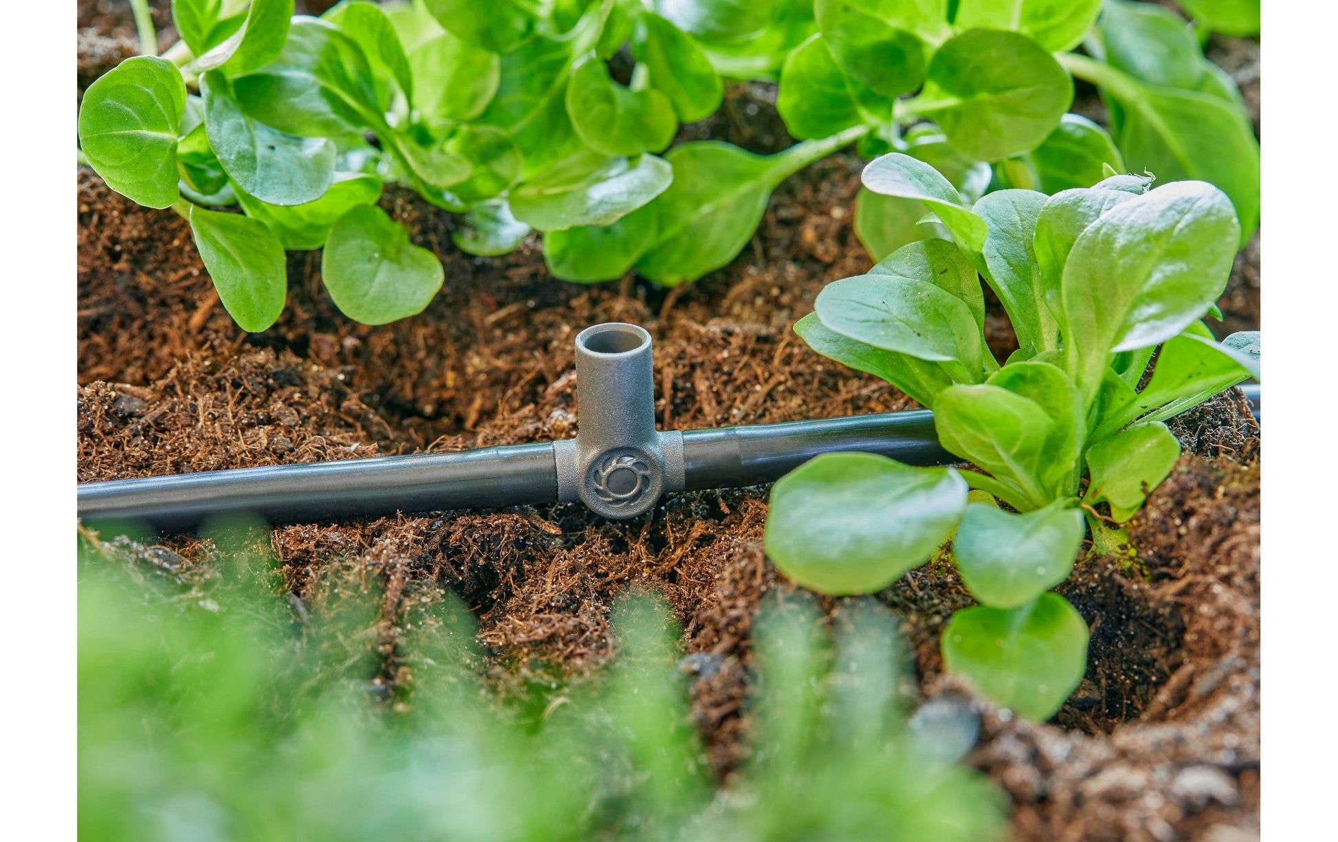 Gardena T-Stück Micro-Drip-System – Länge 3,6 cm, für 4,6 mm Schläuche, Kunststoff, Grau, 1 Stück