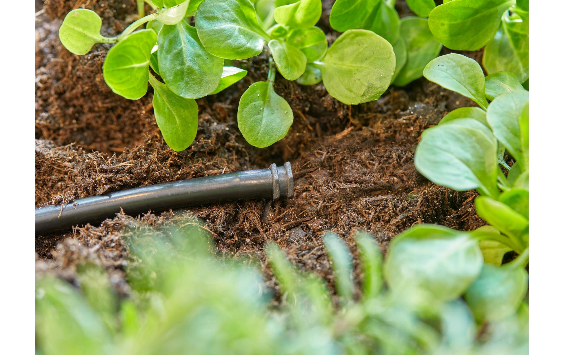 Gardena Rohrenden-Stecker, Verschlussstopfen – Ø 4,6 × 17 mm, Kunststoff, Grau, 10 Stk., für Micro-Drip-System