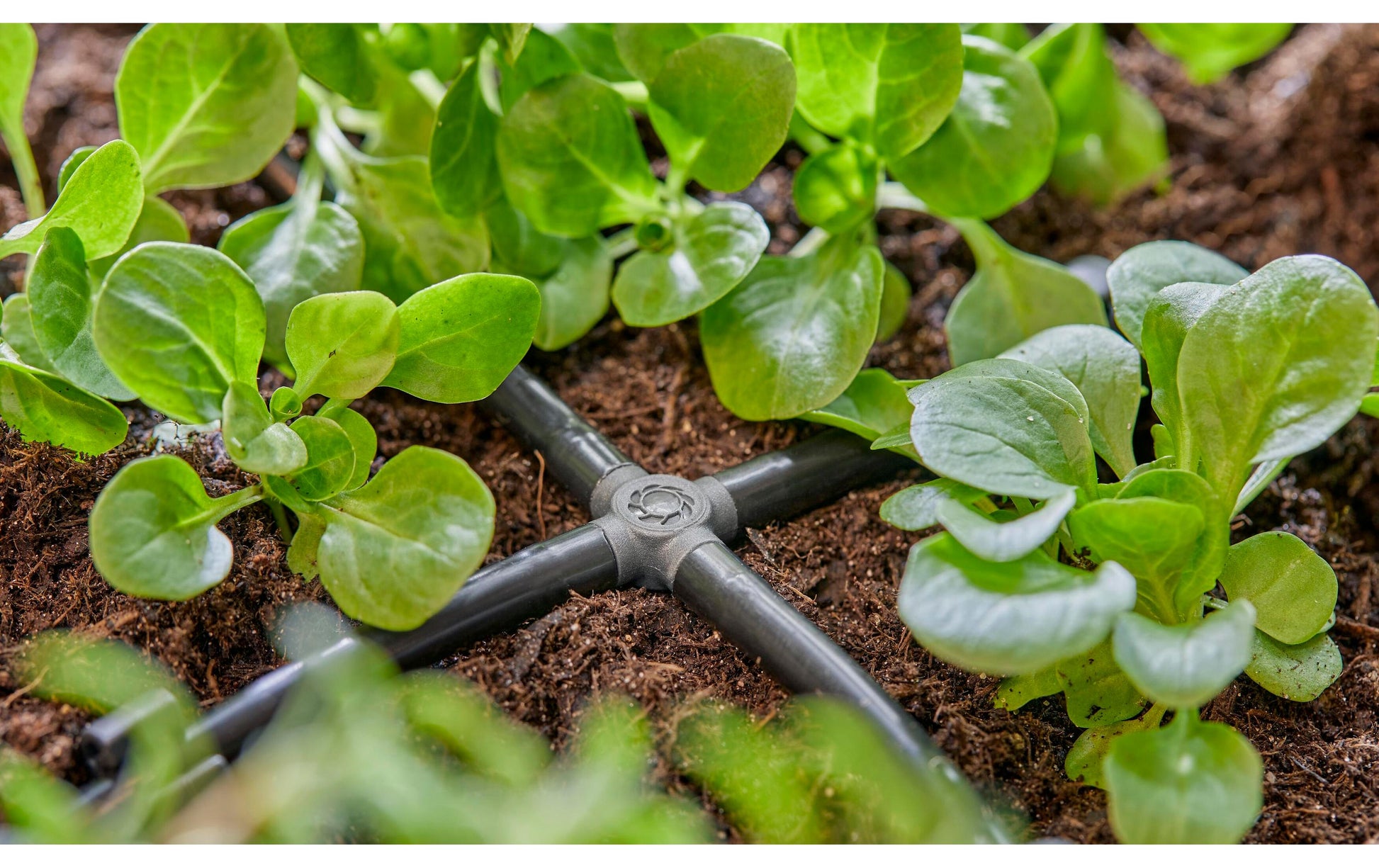 Gardena Schlauchanschluss 4,6 mm Kunststoff – 10 Stk – für Gardena Micro-Drip-System