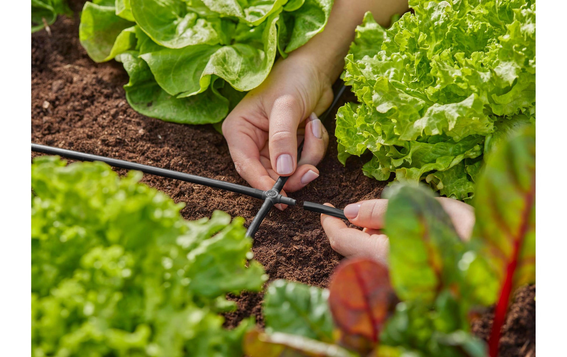 Gardena Schlauchanschluss 4,6 mm Kunststoff – 10 Stk – für Gardena Micro-Drip-System