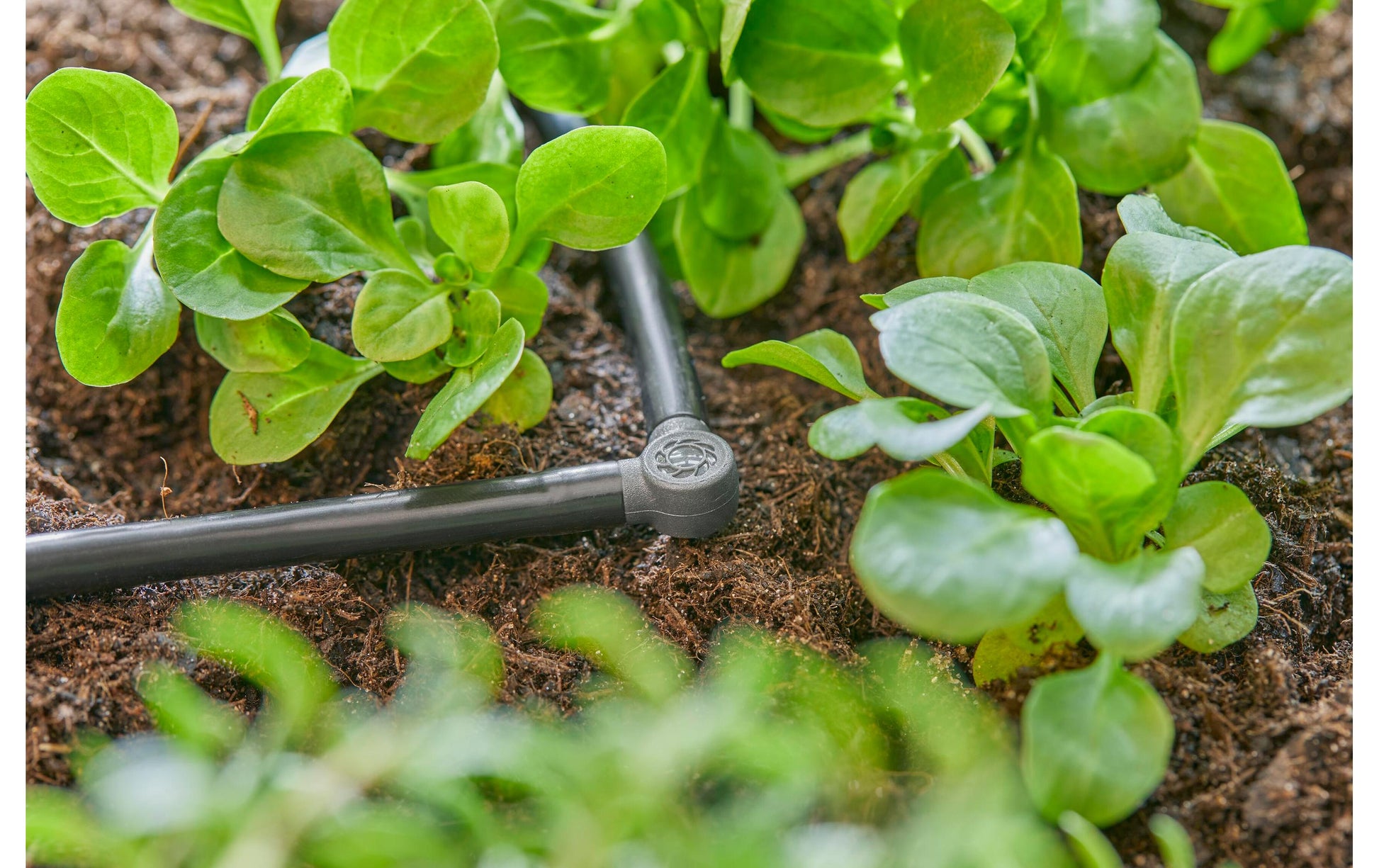Gardena Knotenverbinder – Schlauch Ø 4,6 mm, 23 mm, Grau, 1 Stk. – für Micro-Drip-System