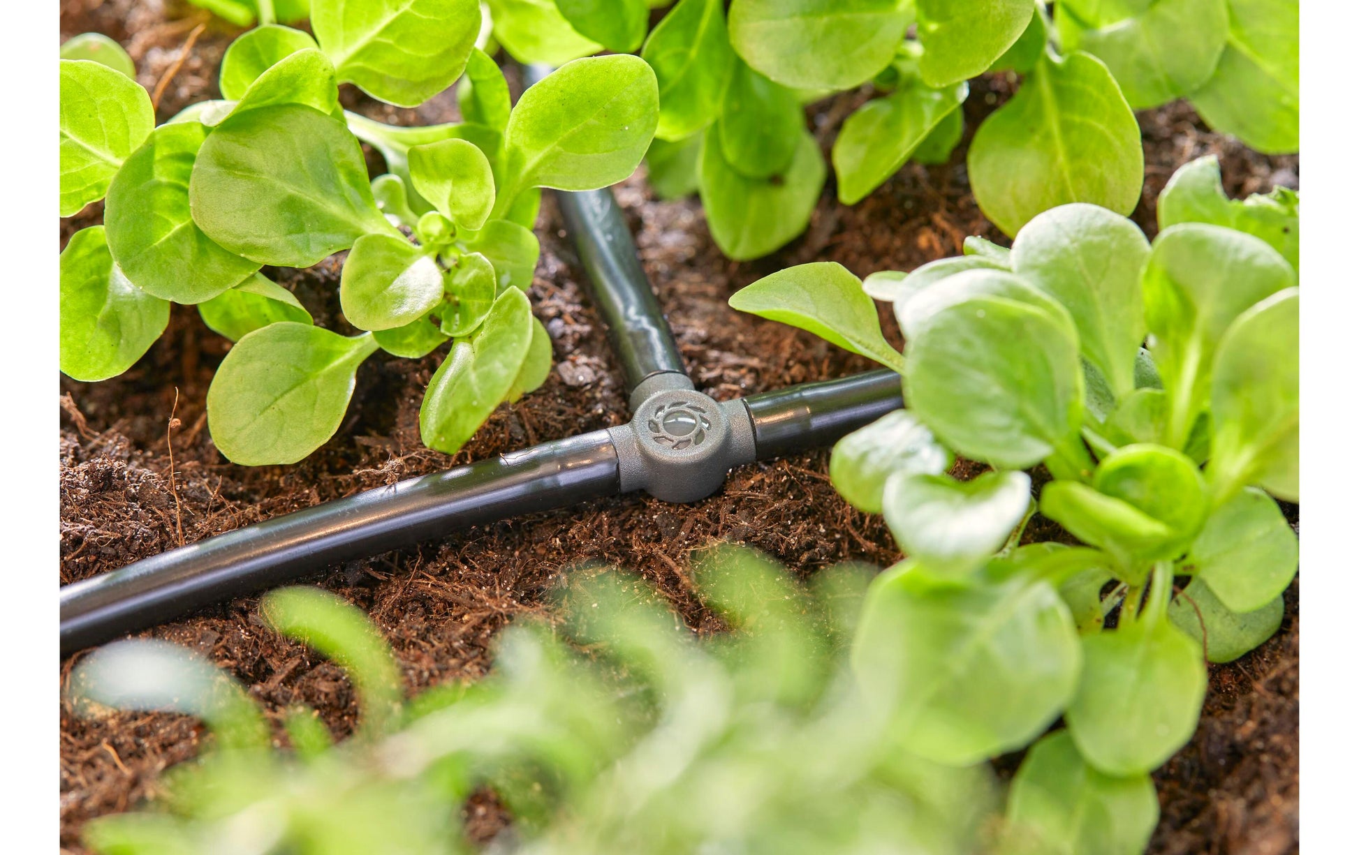 Gardena T-Stück – Ø 4,6 × 36 mm, Kunststoff, Grau, 10 Stk., für Micro-Drip-System